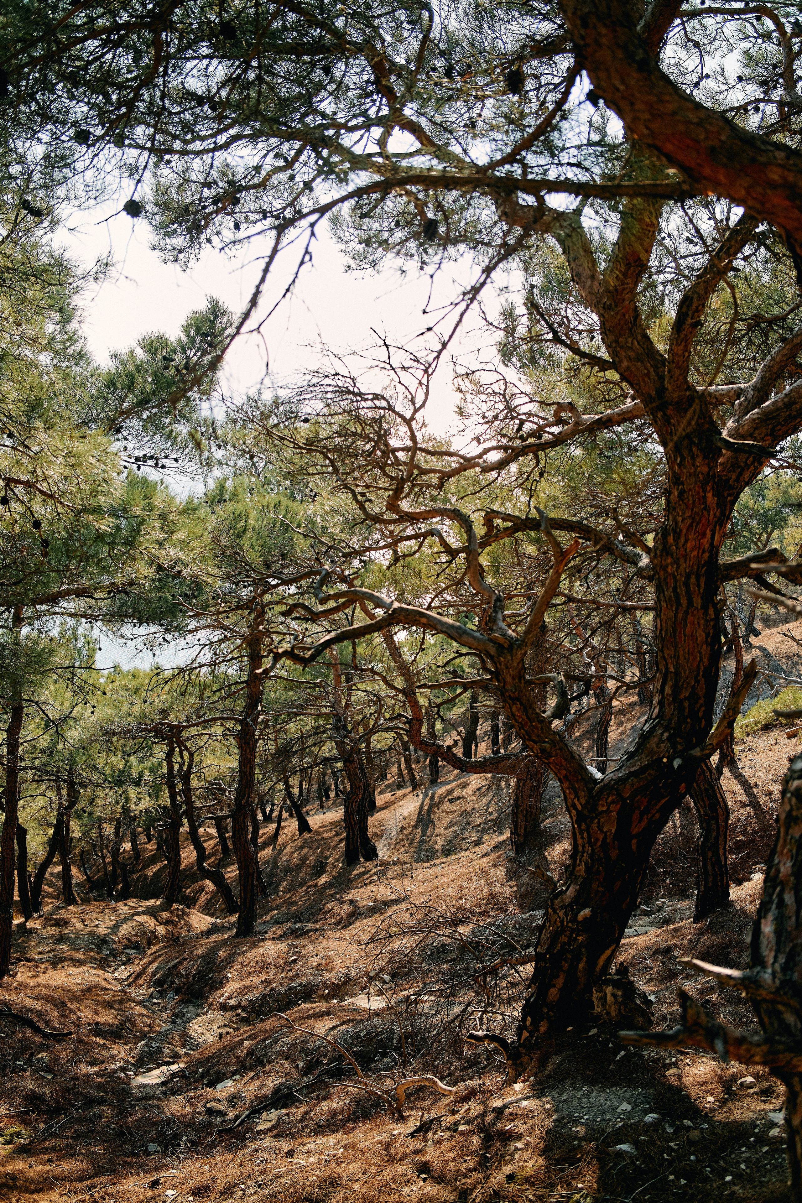 Юг России. Профессиональный Фотограф во Владимире, в Москве и в Суздале — Полина Романычева