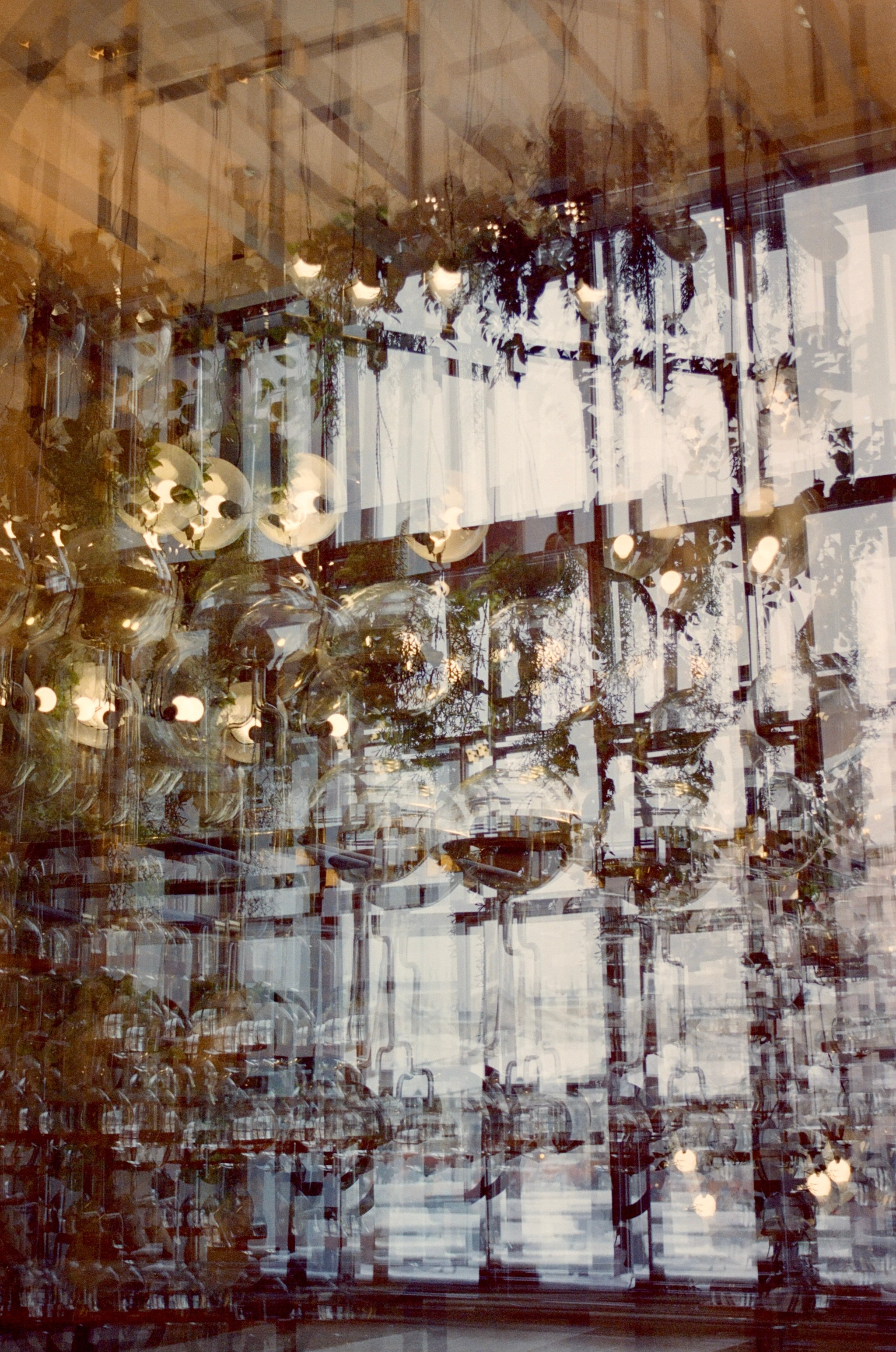 Автор: Елизавета Митенкова