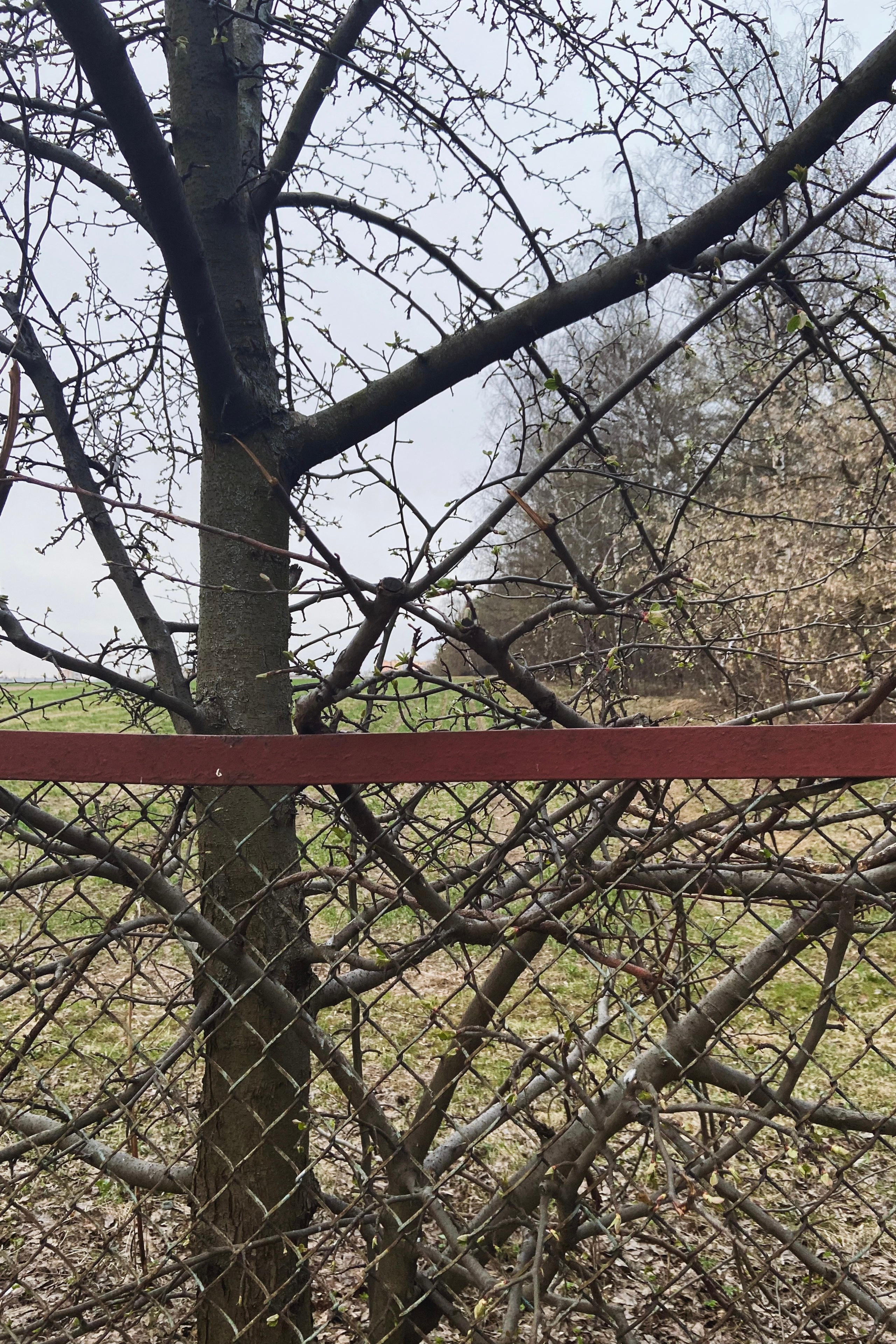 Автор: Евгения Полонская