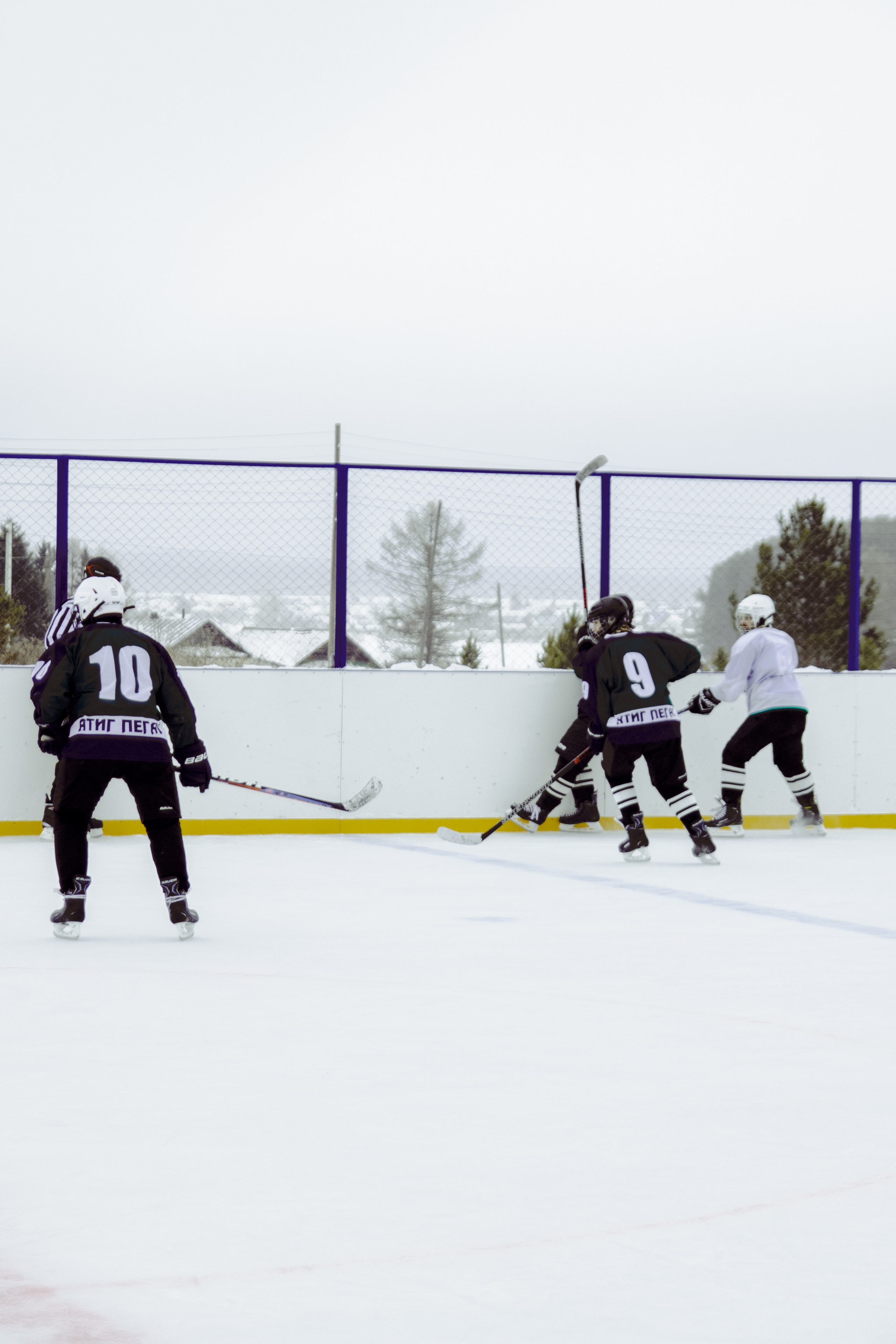 Хоккей 29.12.2024