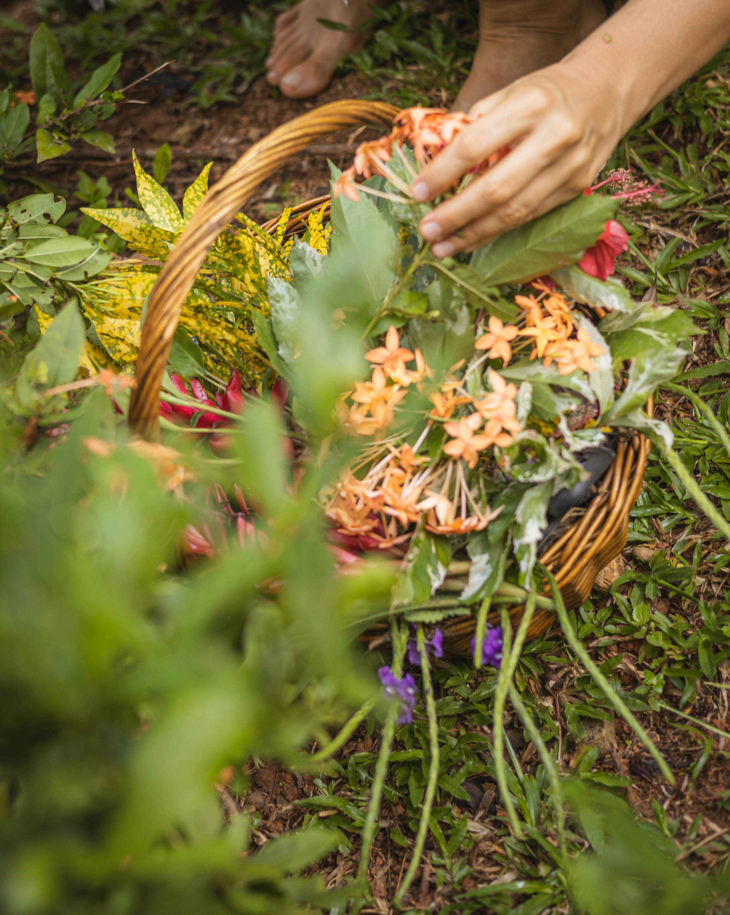 Authenticity of women and nature. Family, portrait, content photo in Costa Rica Evgeniya Besprozvannykh