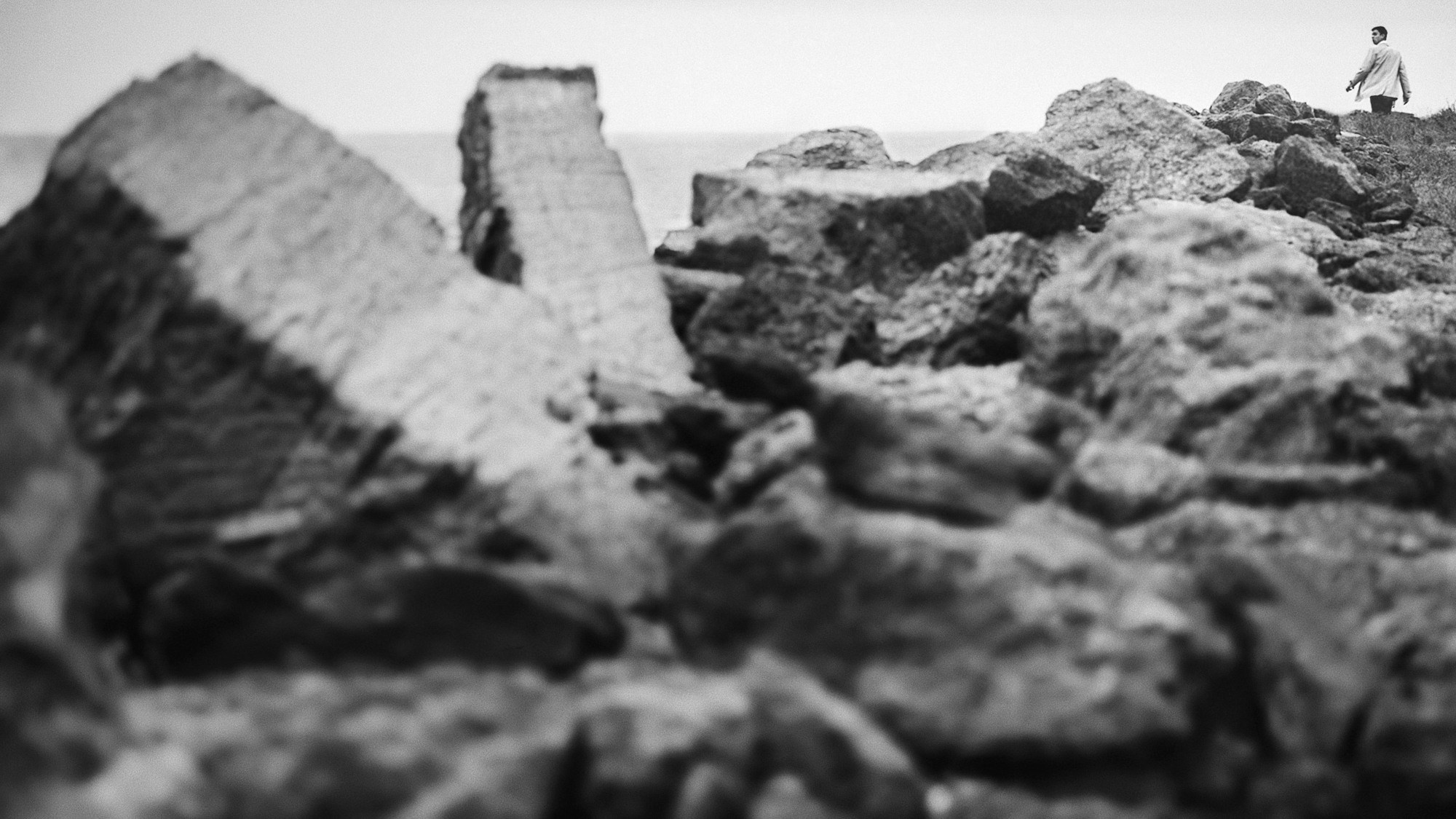 Portfolio. The Andris