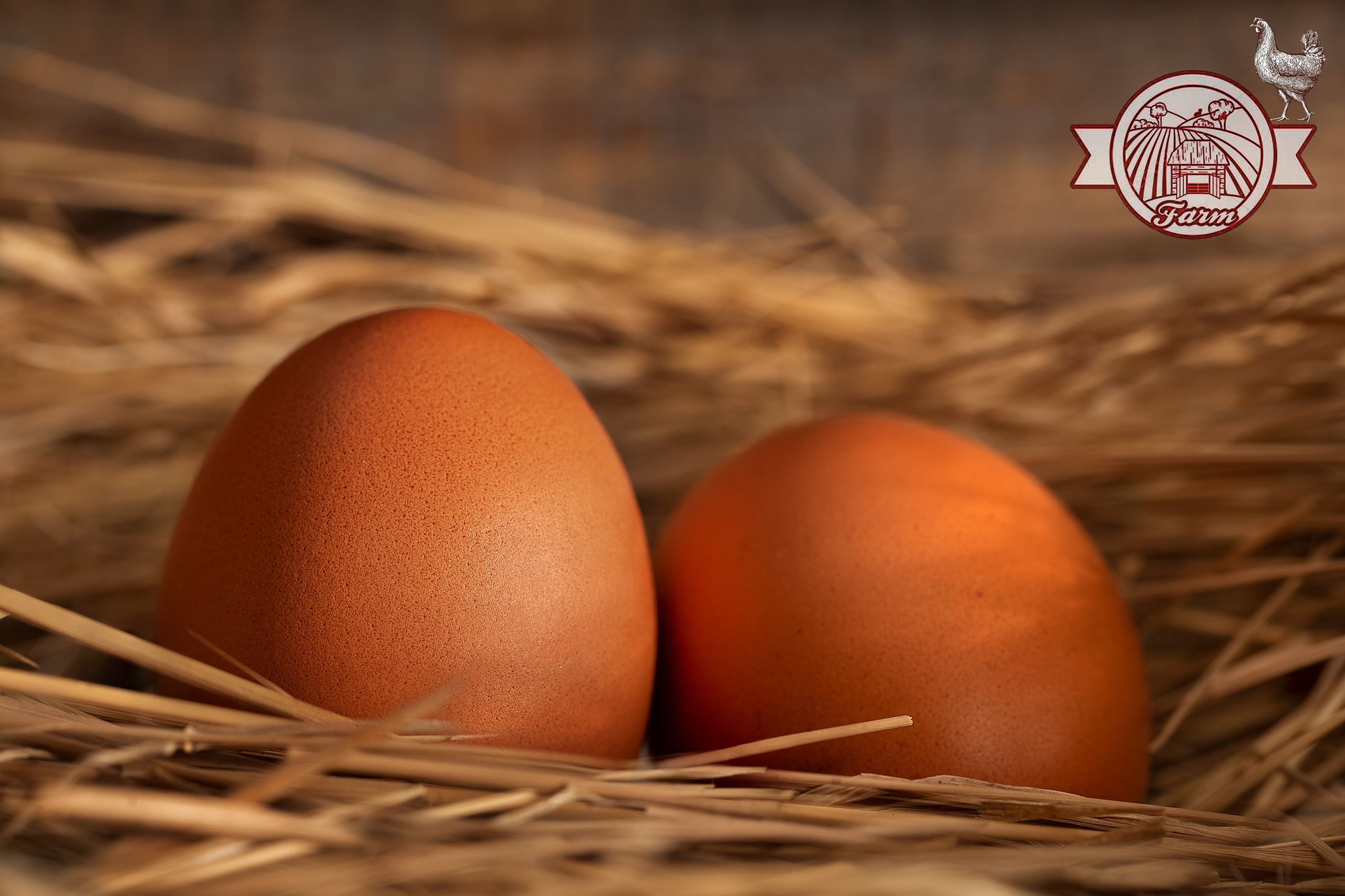 Рекламные фото. Photographer  Valeriy Velikov