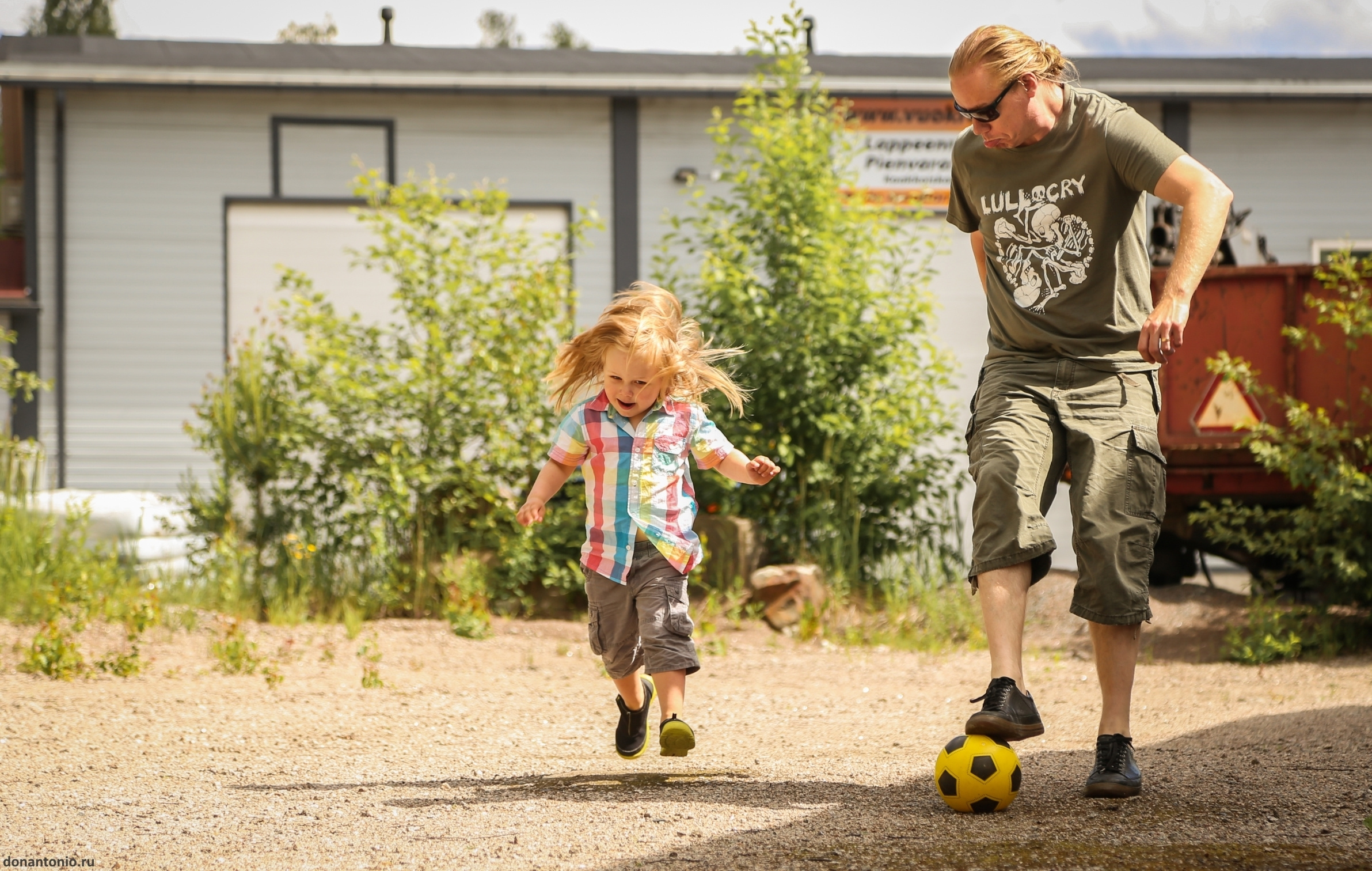 Портреты с Доном