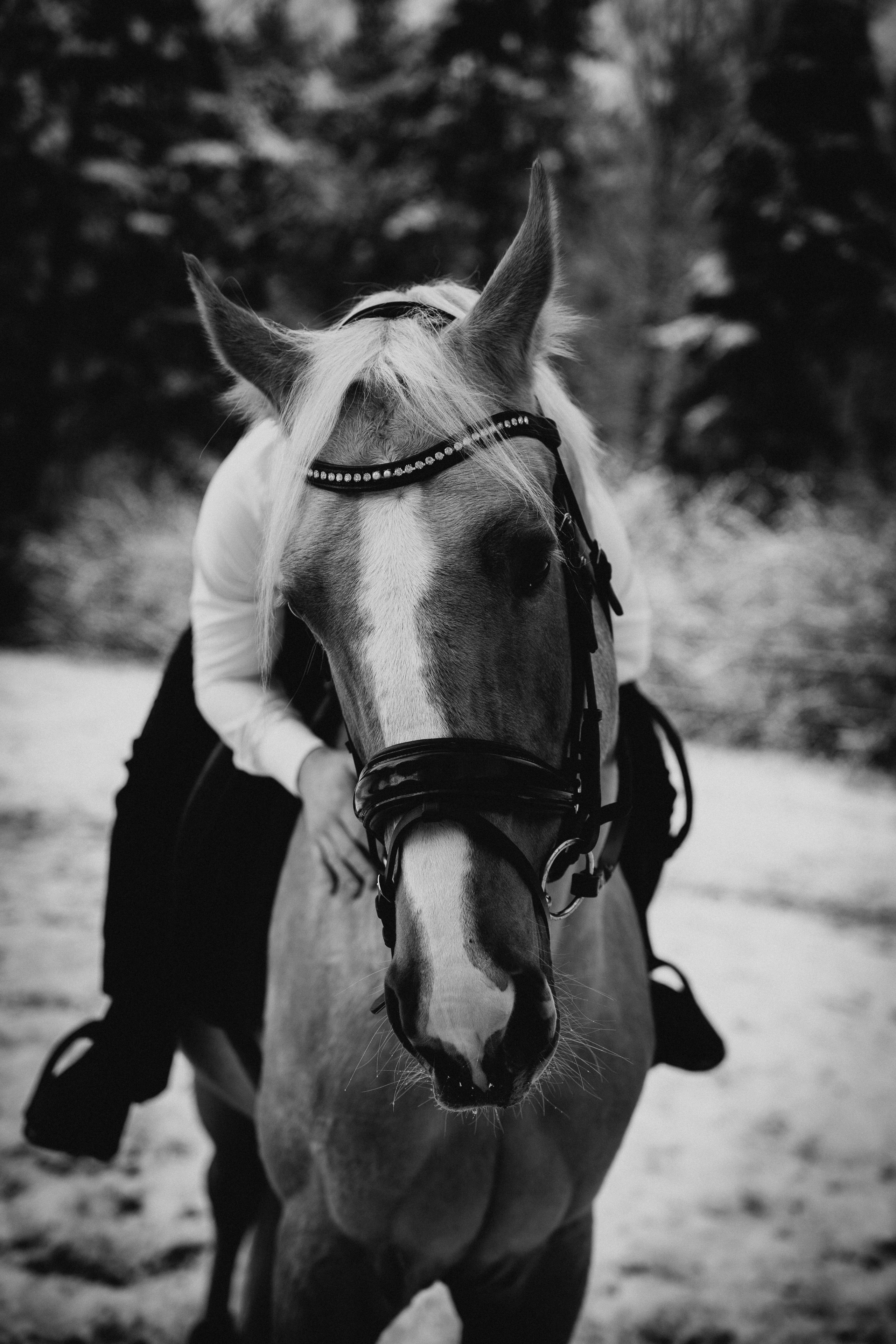 Ваня и Пейтон. Виктория Спорова. Ваш портретный фотограф в Санкт-Петербурге