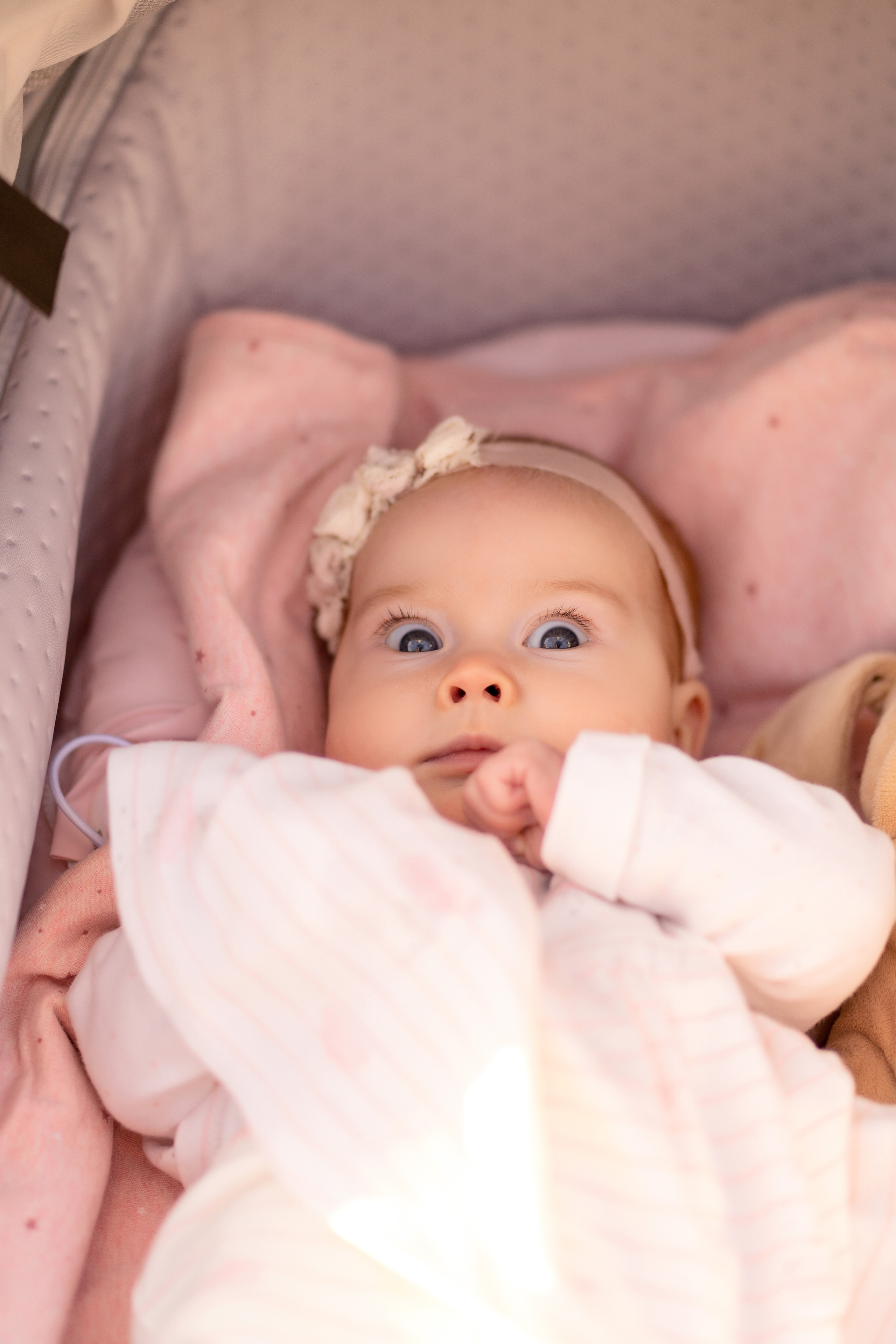 Цветение в Лошицком парке. Семейный и свадебный фотограф Минск, Беларусь Анна Орловская