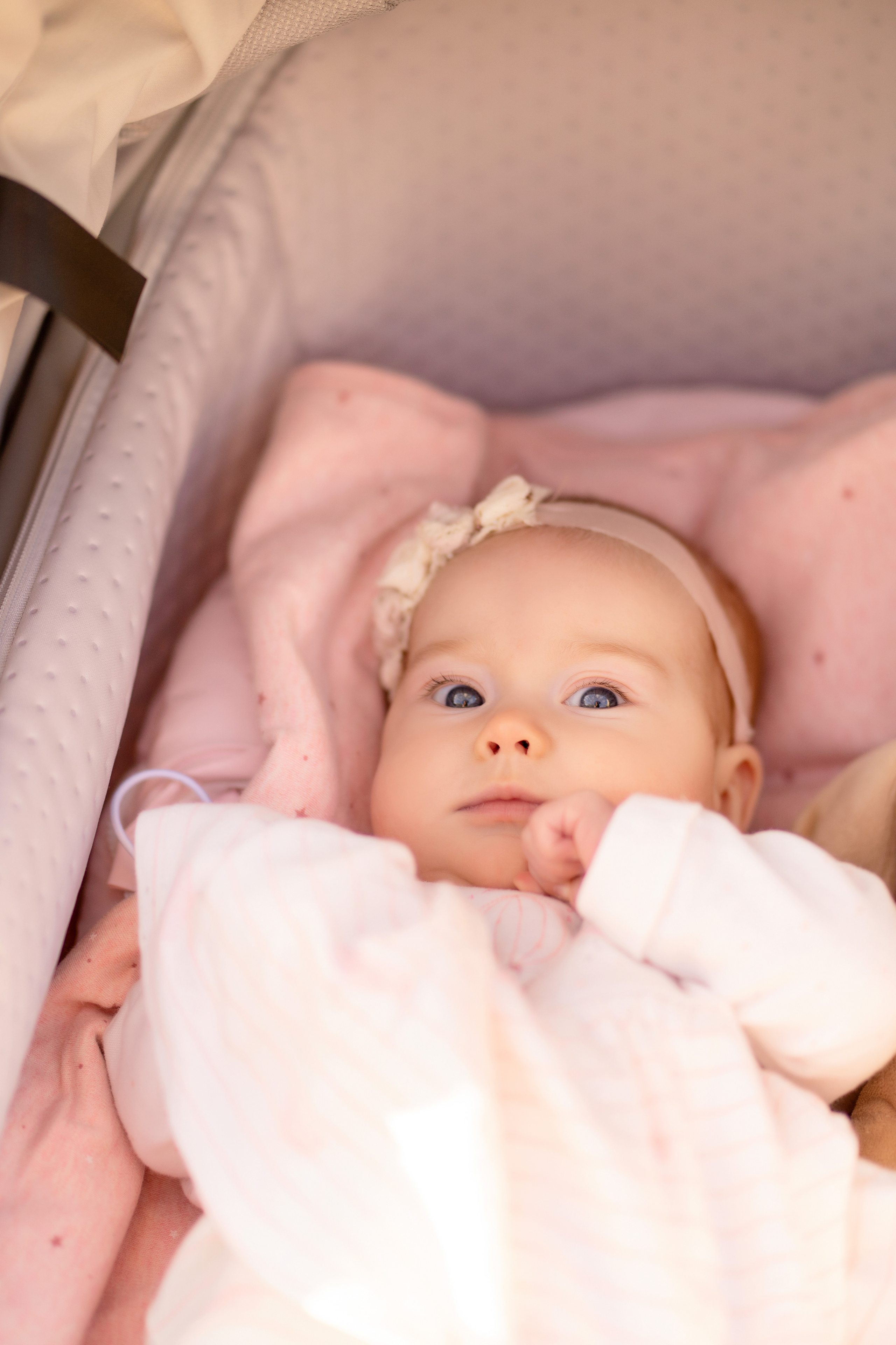 Цветение в Лошицком парке. Семейный и свадебный фотограф Минск, Беларусь Анна Орловская
