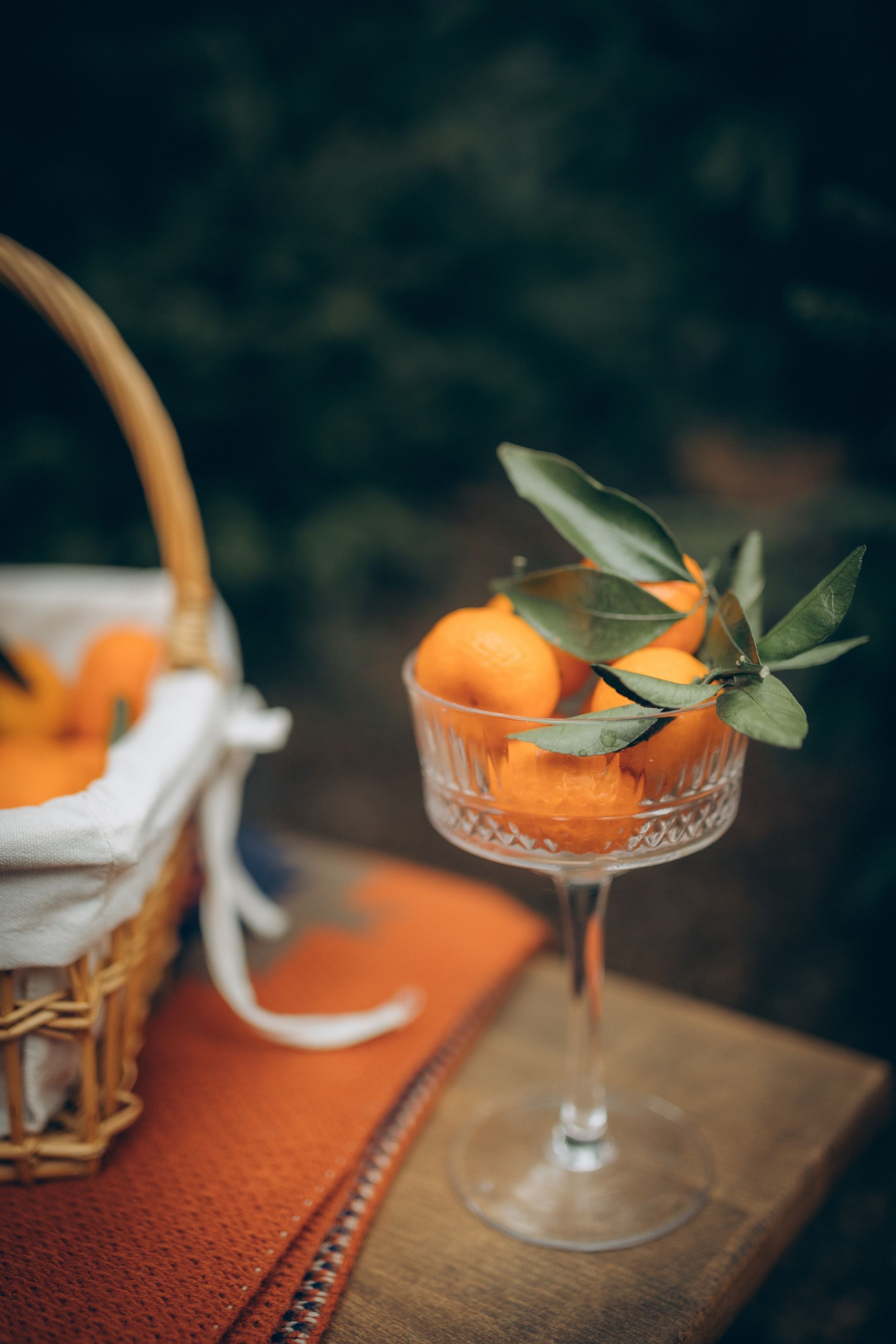 New Year's family story. Семейный фотограф и фотограф на роды в Ростове-на-Дону Мухина Виктория