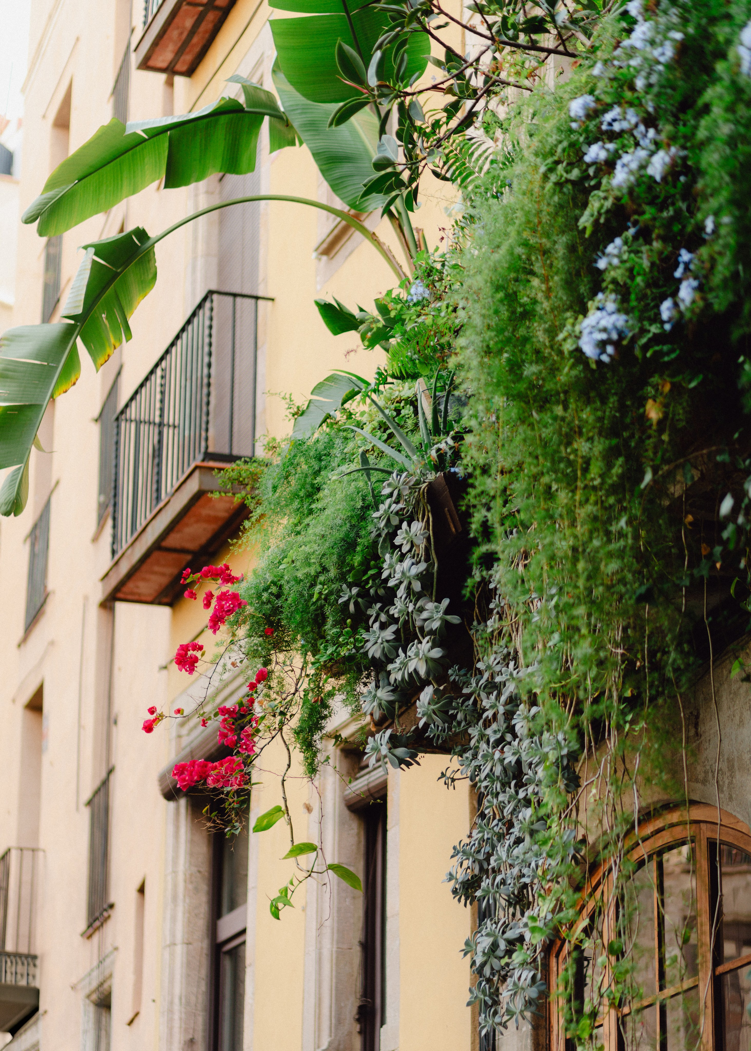 Dasha in Barcelona. Barbara Isaeva