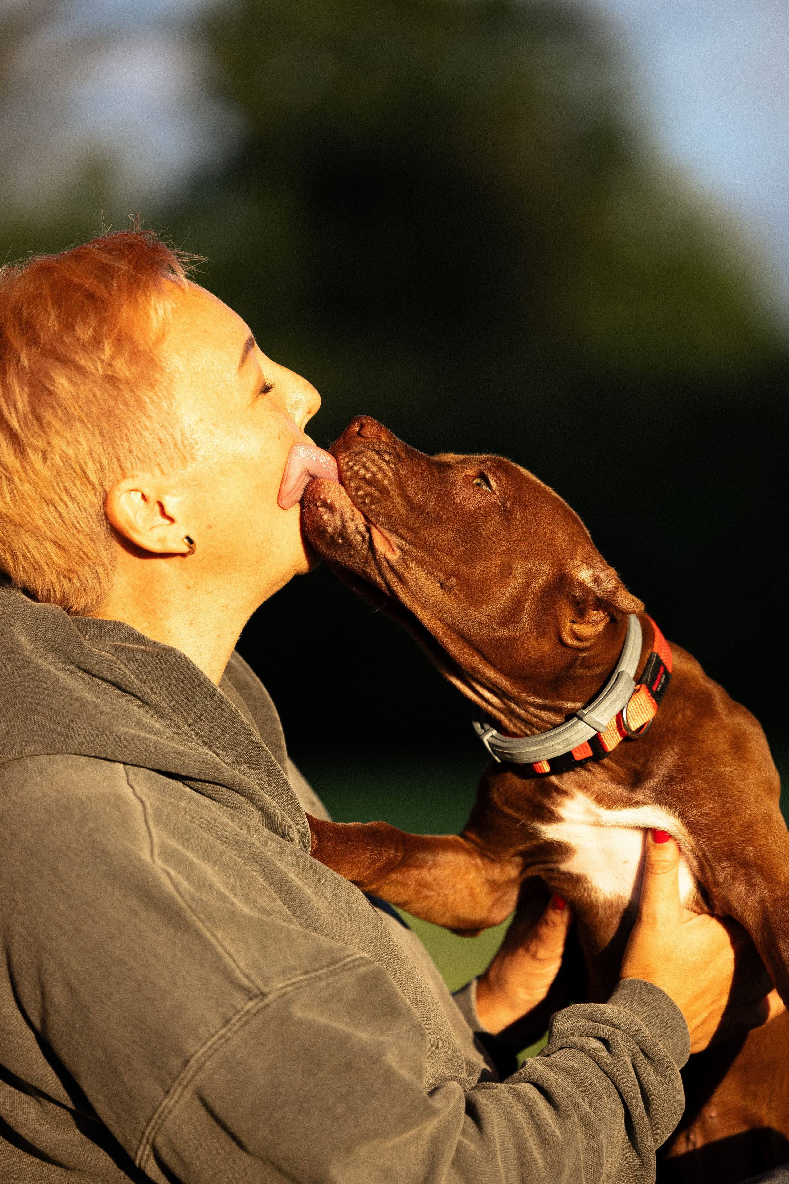 Елена и Хан. Фотограф и видеограф анималист Аганина Дарья