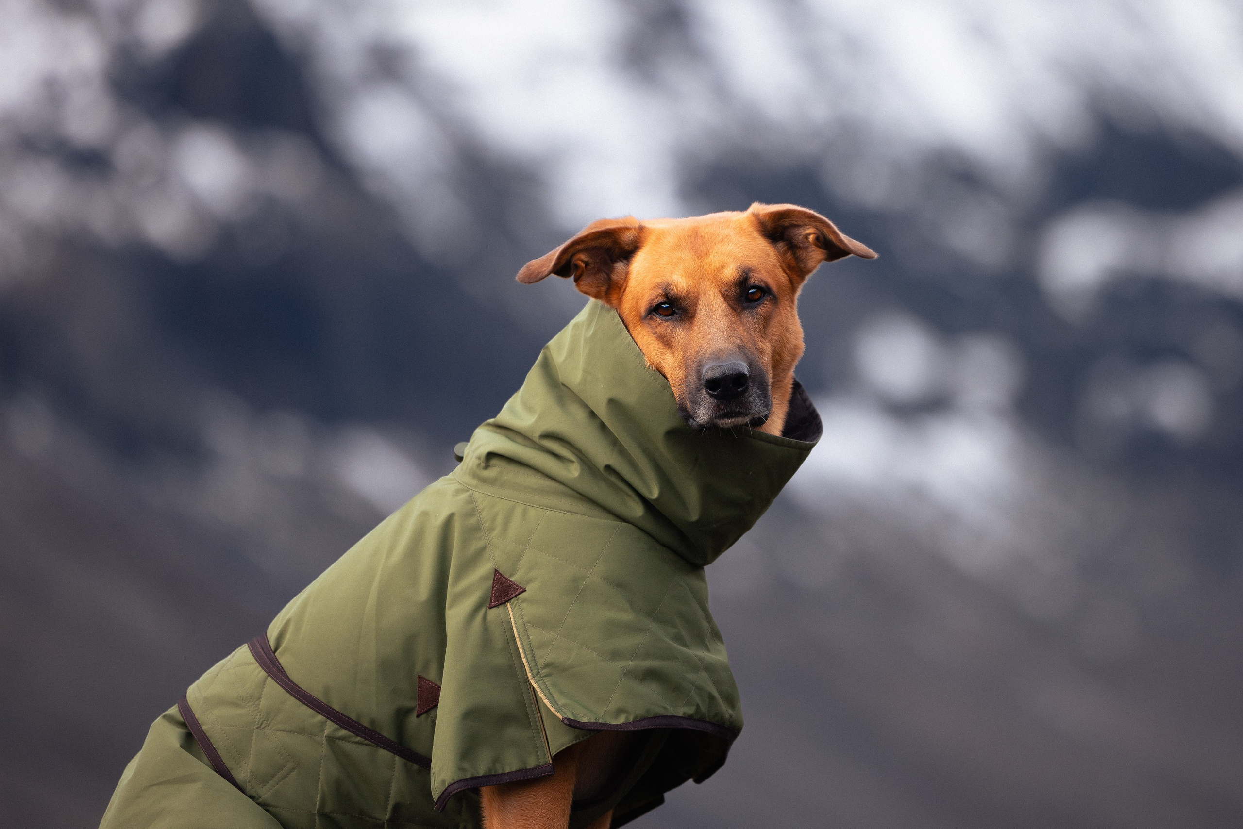 Кольский. Фотограф и видеограф анималист Аганина Дарья