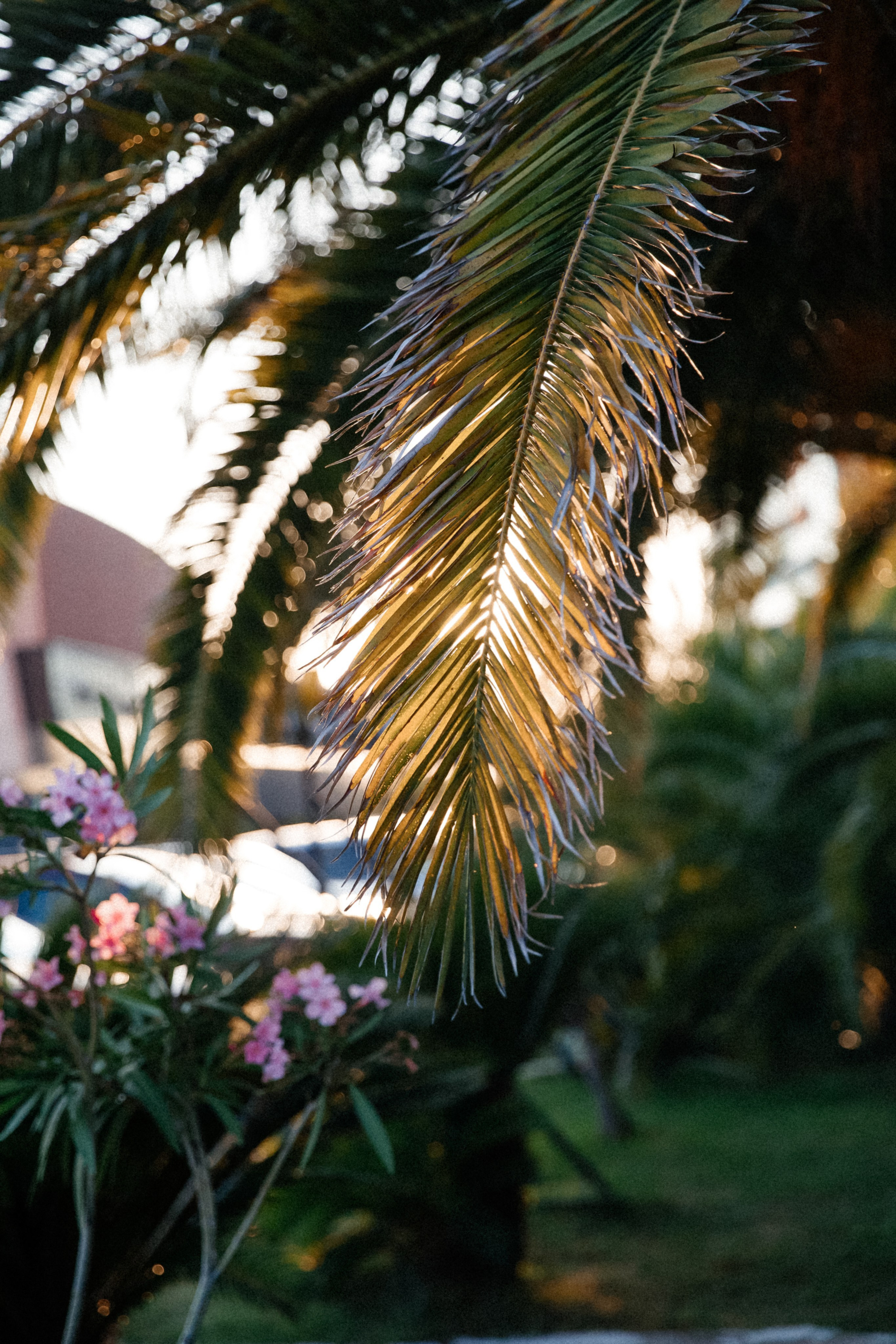 ELENA & VALERIY. Свадебный фотограф | Екатеринбург | Сочи | Артем Шестаков