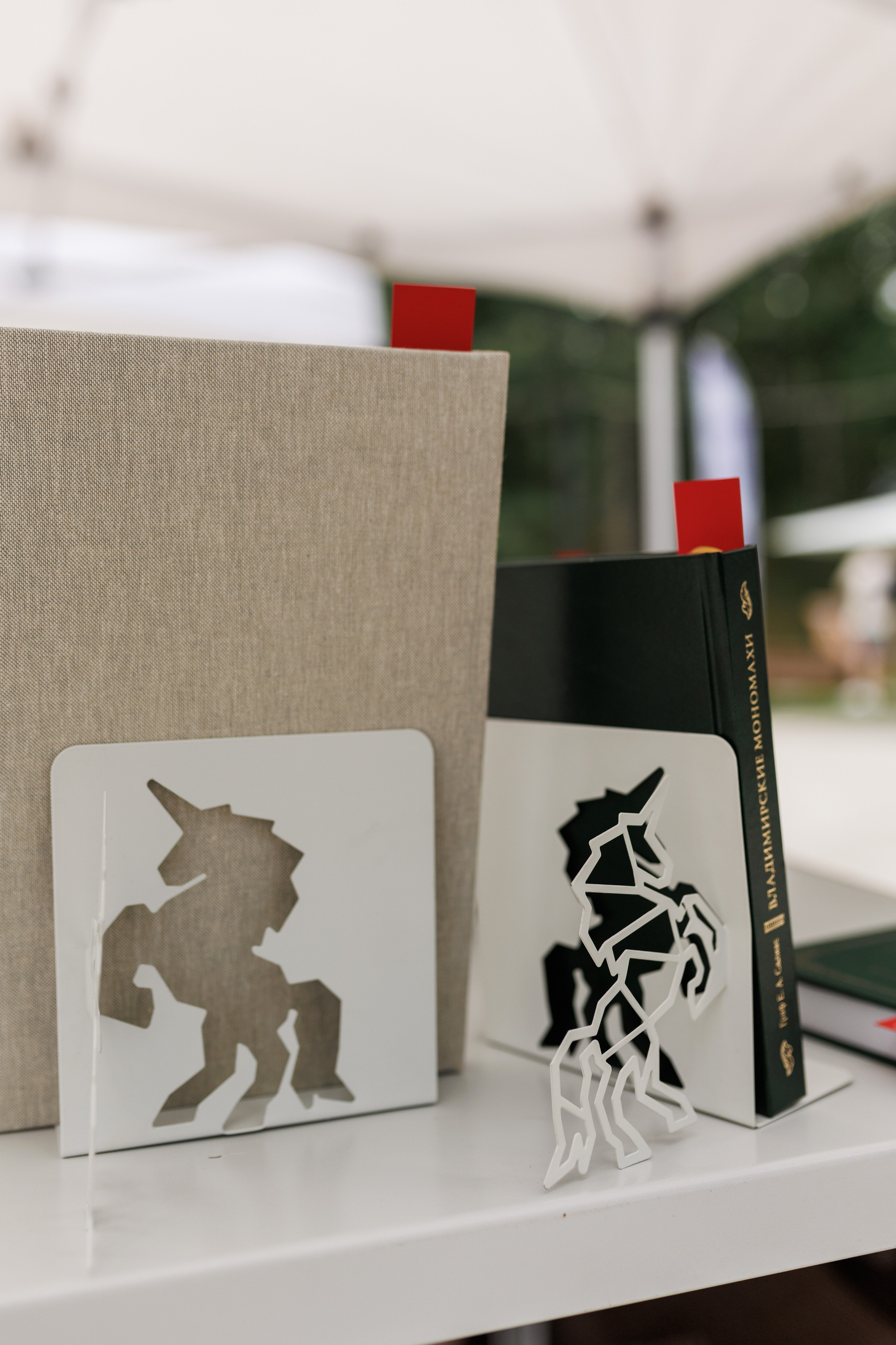 Книжный фестиваль «Смены» в Выксе 2025. Фотограф городских и семейных событий Артем Карпухин