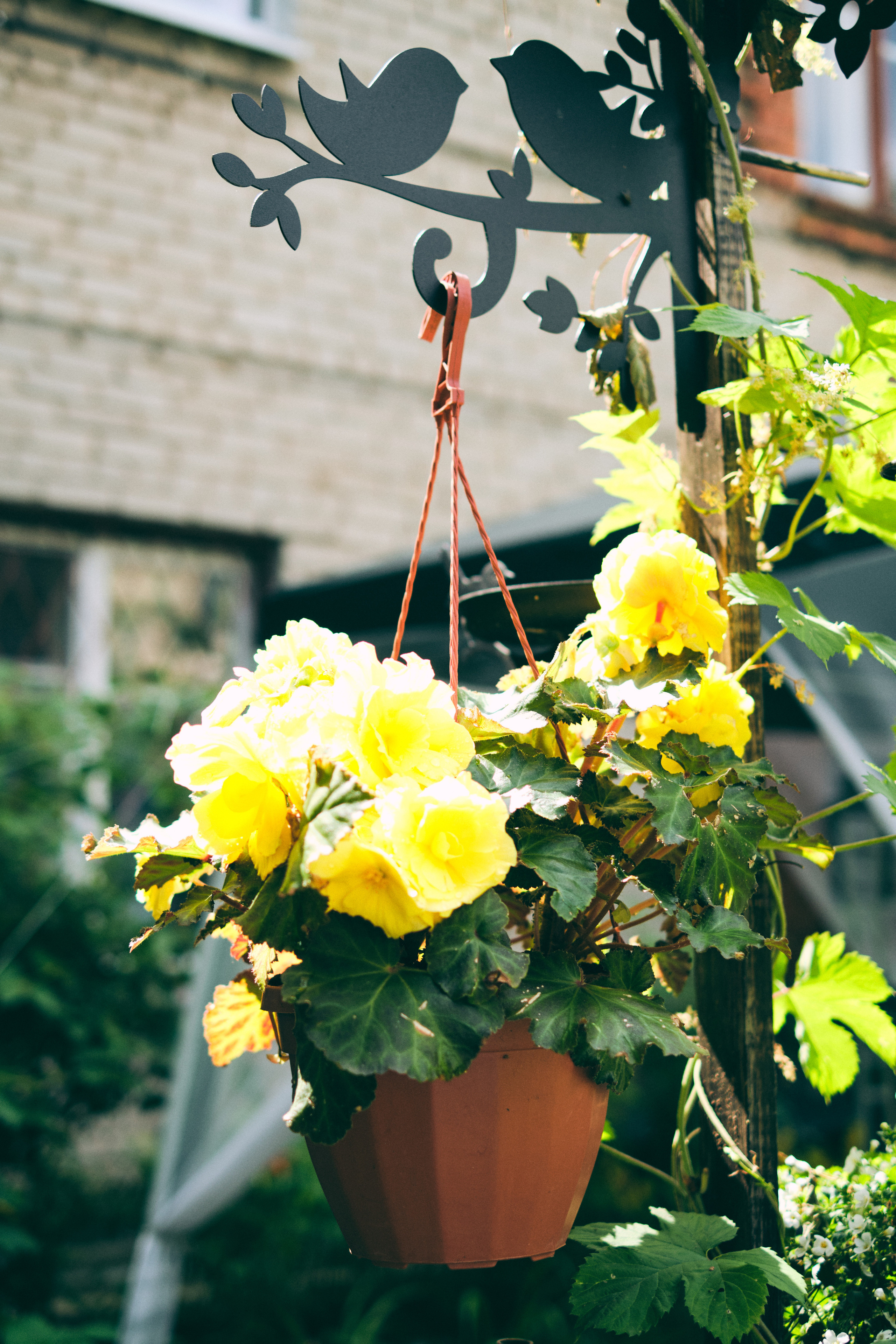 Фотосессия красивой пары на улицах города. Елена Павленко. Фотограф. Москва