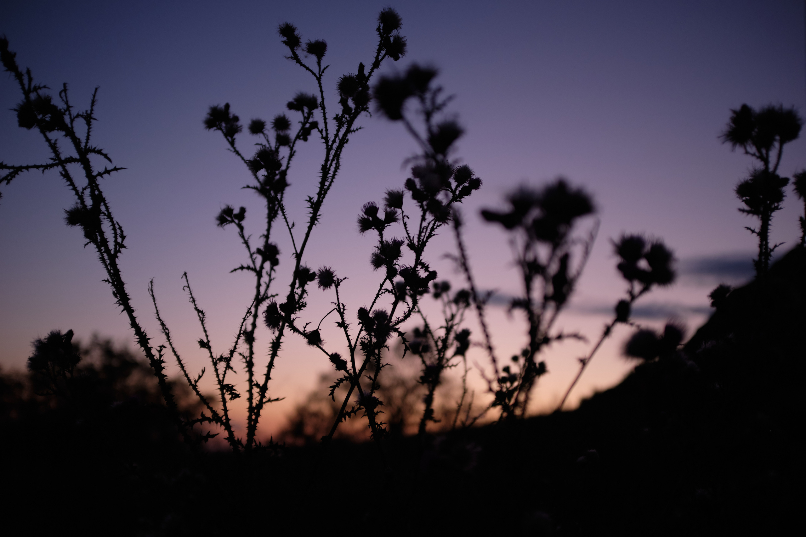 Уфа. Таратау. Вертолетная площадка. Елена Павленко. Фотограф. Москва