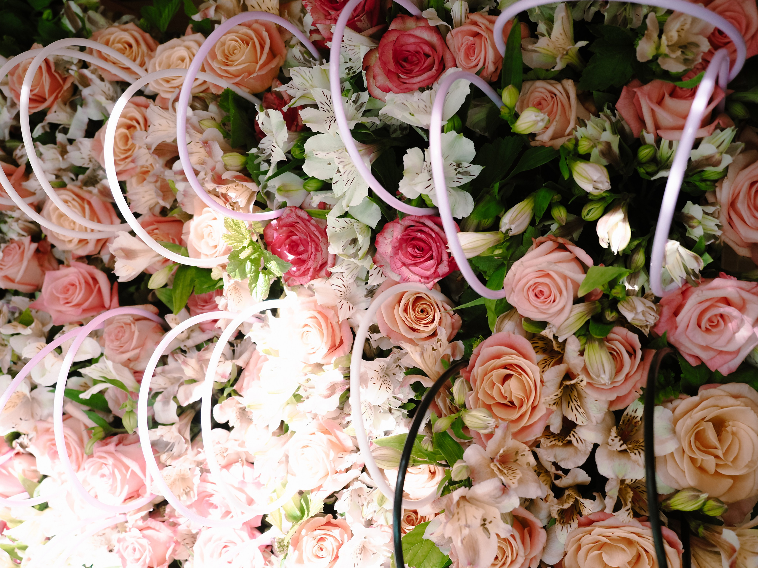 Последний звонок. Фотограф Рязань. Семейный Свадебный фотограф