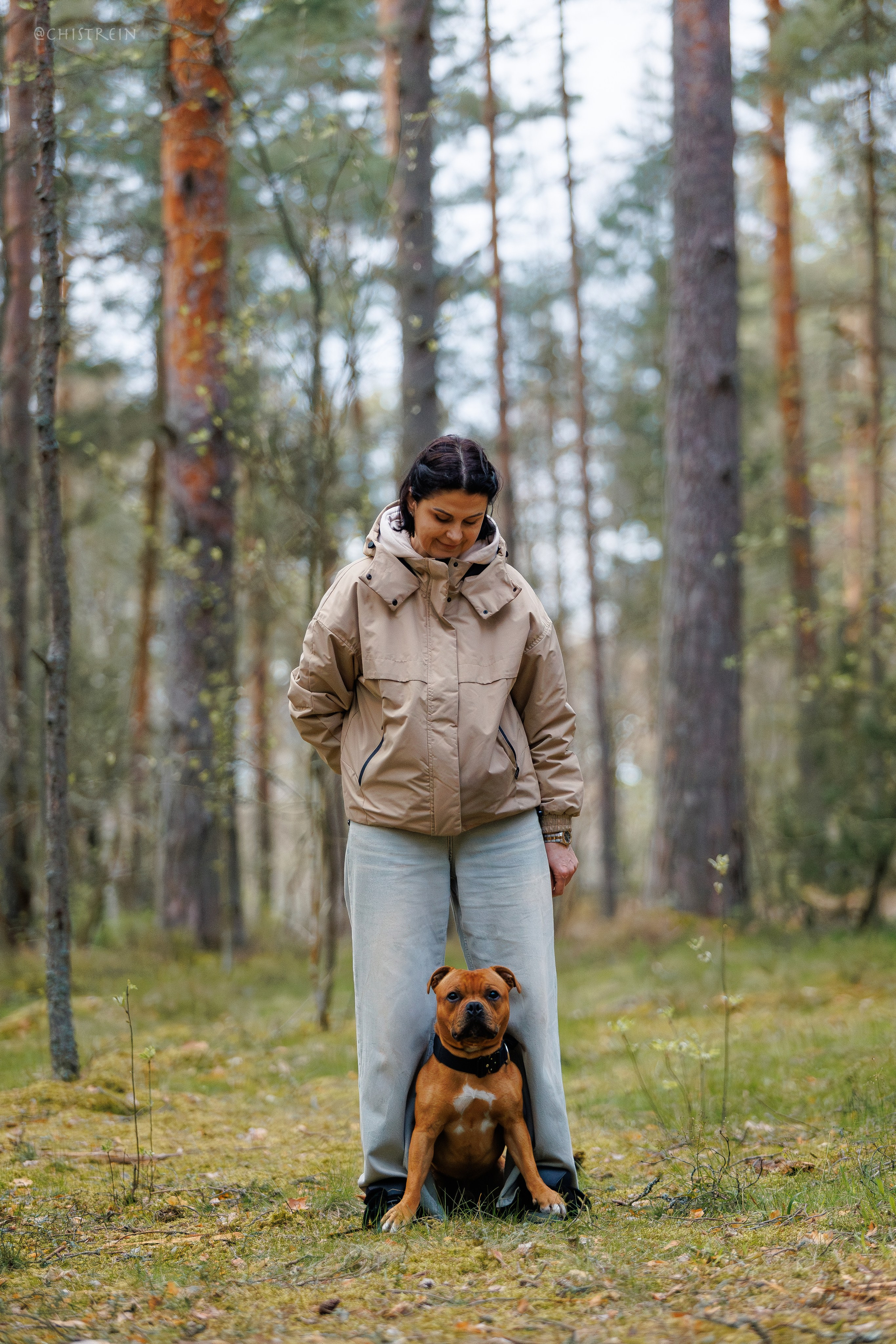 Чудесная прогулка по сосновому лесу и Финскому заливу с Татьяной и Айроном. Фотограф-анималист Наталия Чистюхина в г. Сосновый Бор и ЛО
