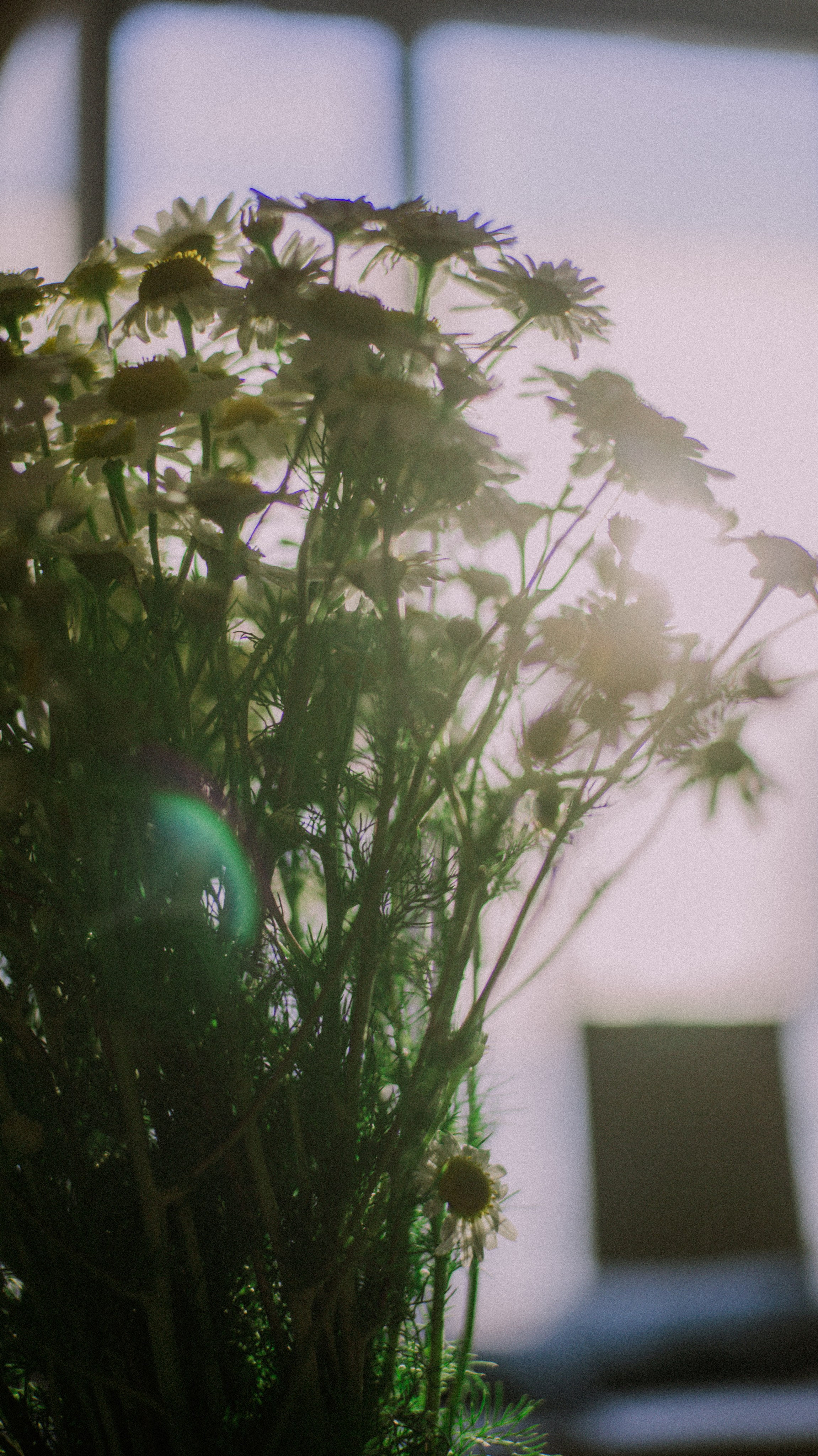 Wallpapers. Фотограф Казань