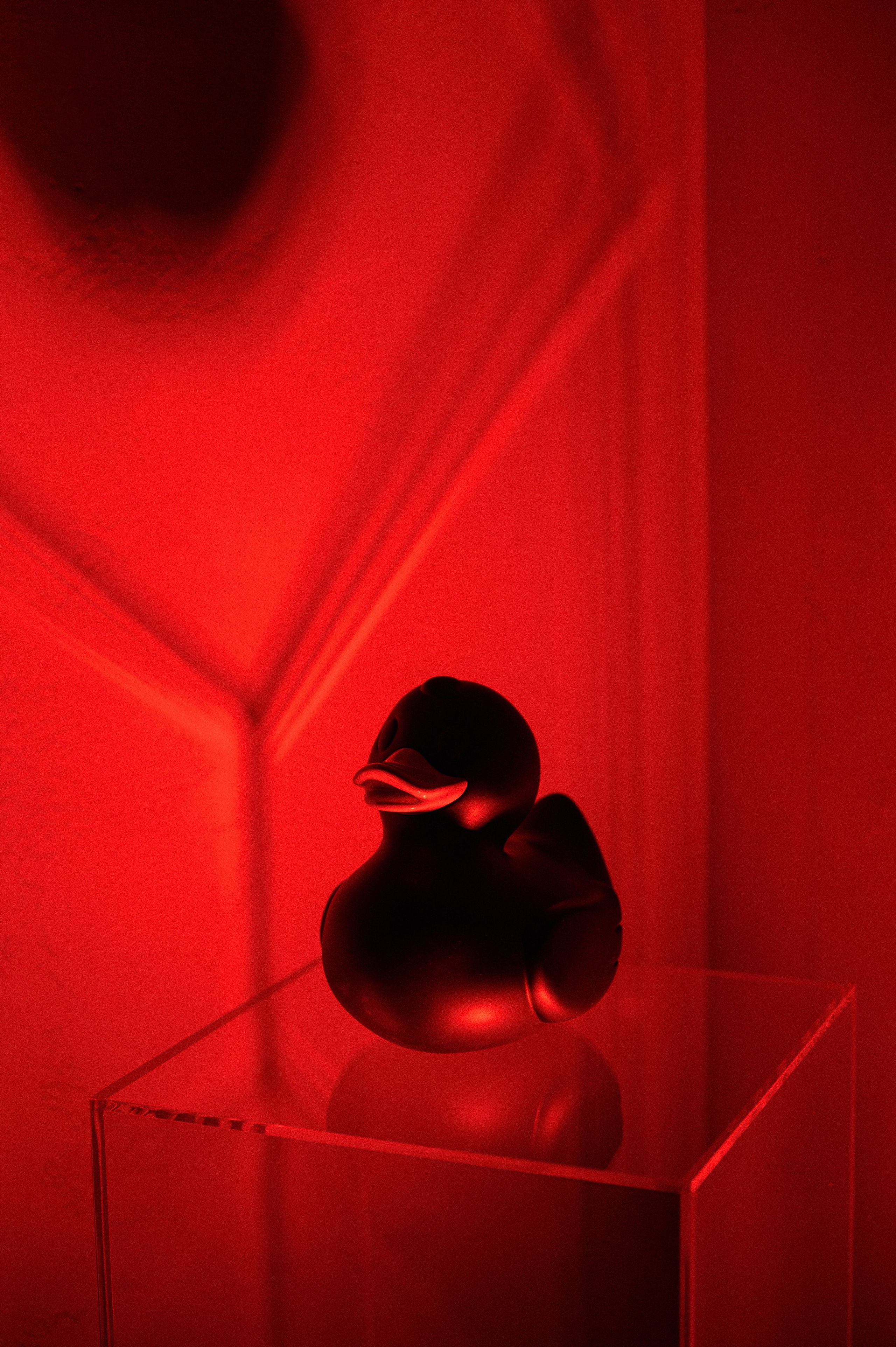 A клуб. Фотограф Павел Петров г. Тюмень