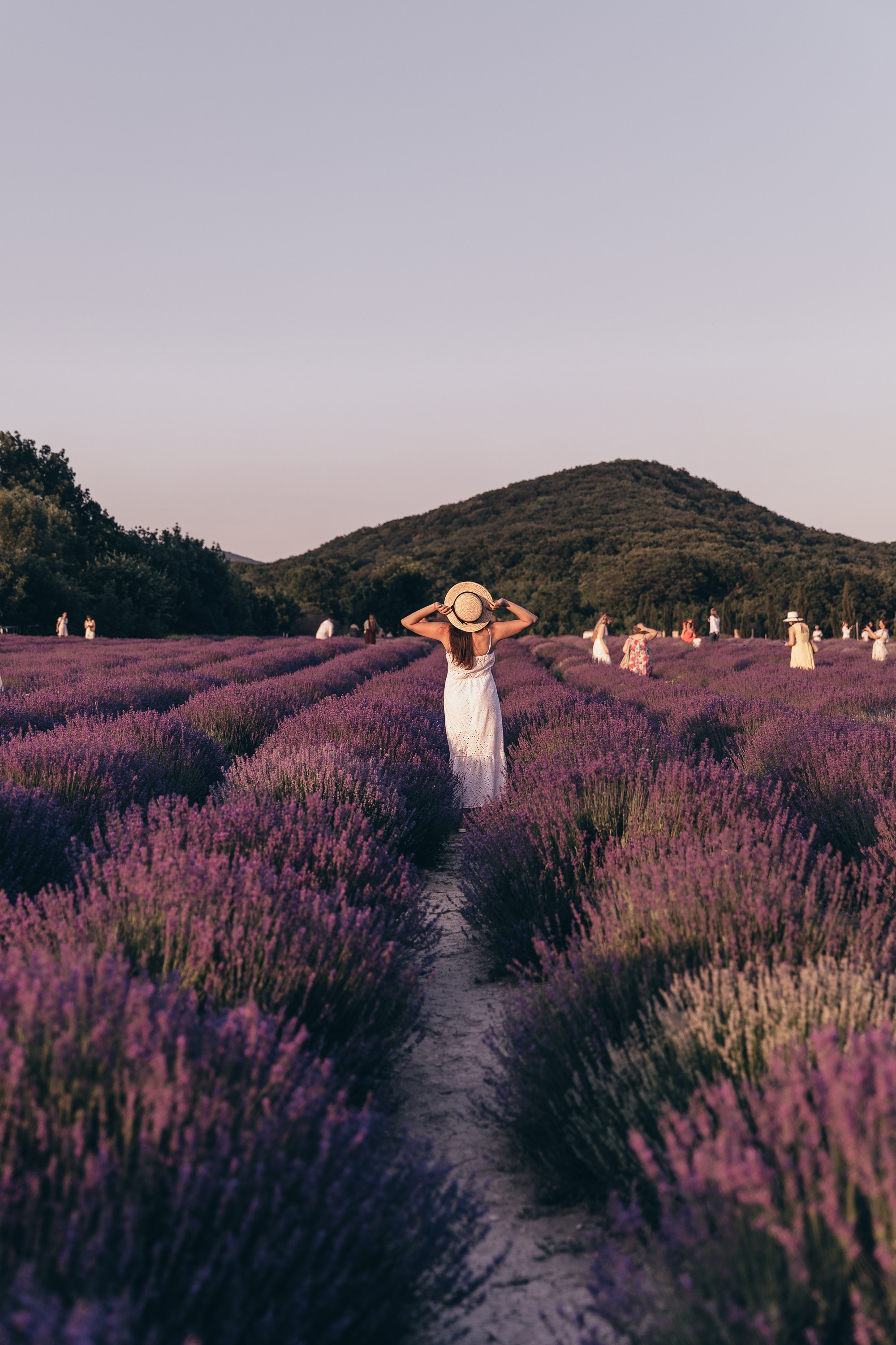 Фотосессия в лаванде Геленджик. Свадебный фотограф в Геленджике Мария Четверикова