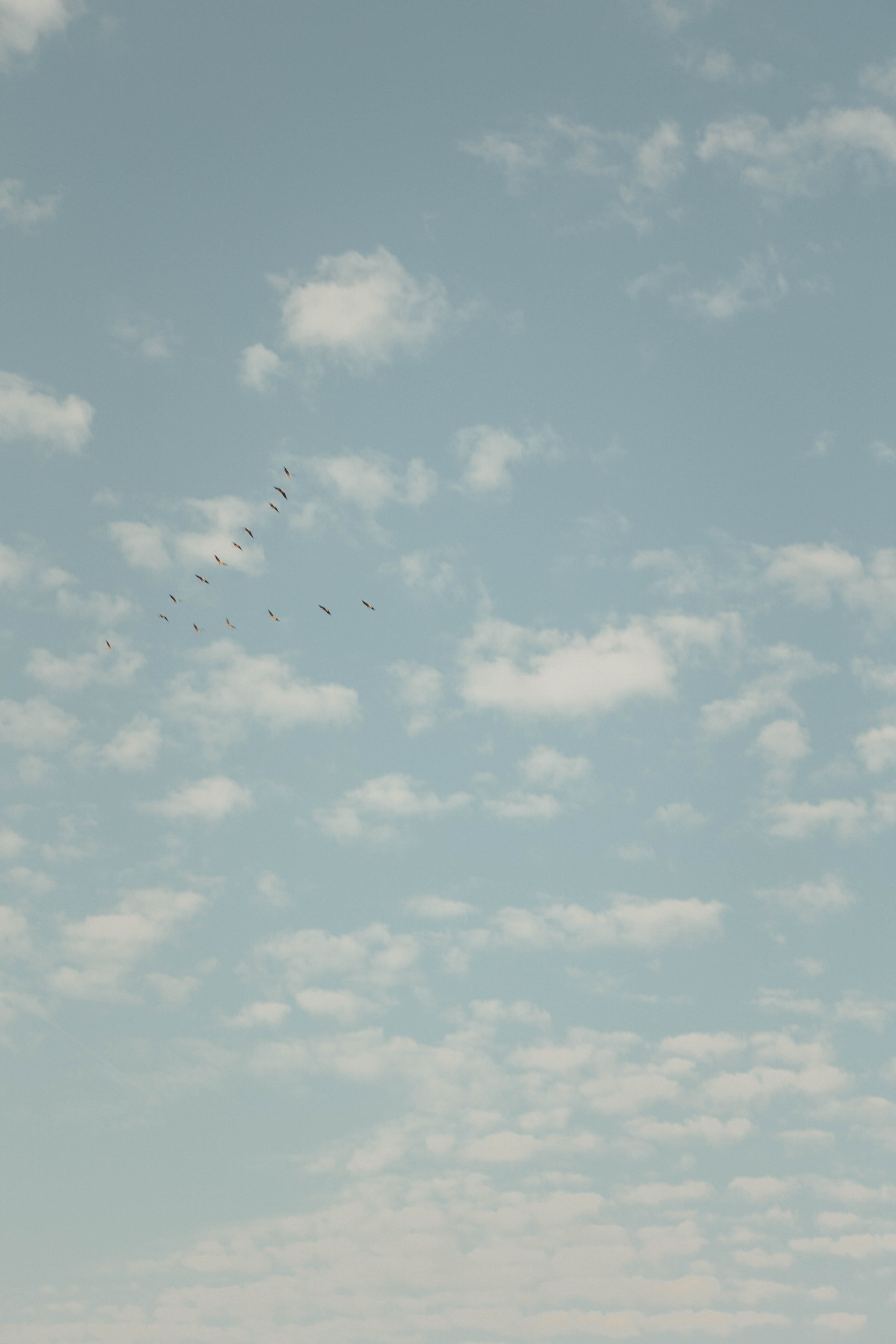 Юля и Варя. Свадебный фотограф в Нижнем Новгороде Анна Кузнецова