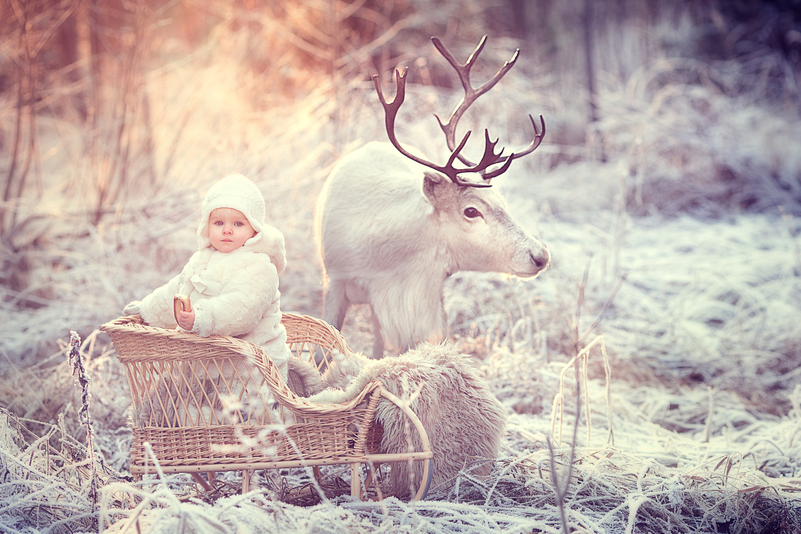 Портфолио. Карнеева Елена. Детский, семейный фотограф