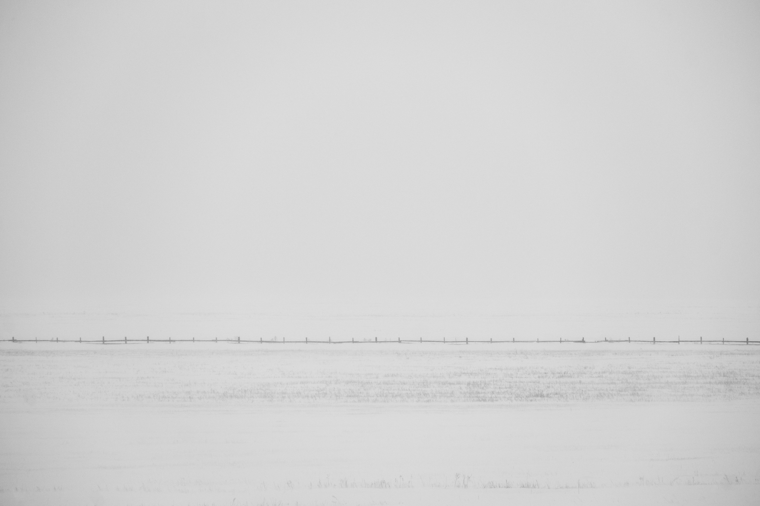 Silence. Irina Borodina