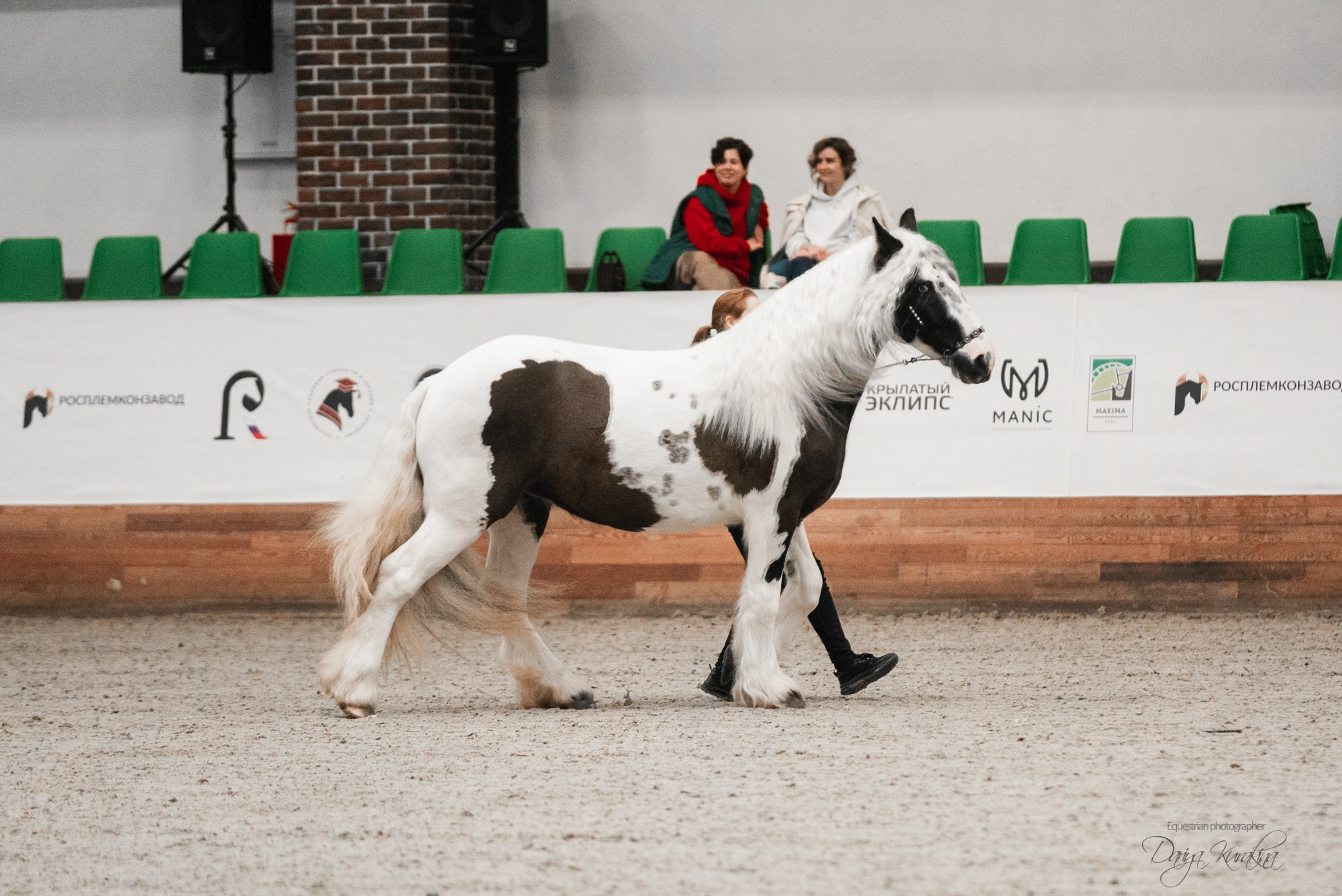 8-я международная выставка Конная Россия. Конный фотограф Куракина Дарья • Фотосессии с лошадьми