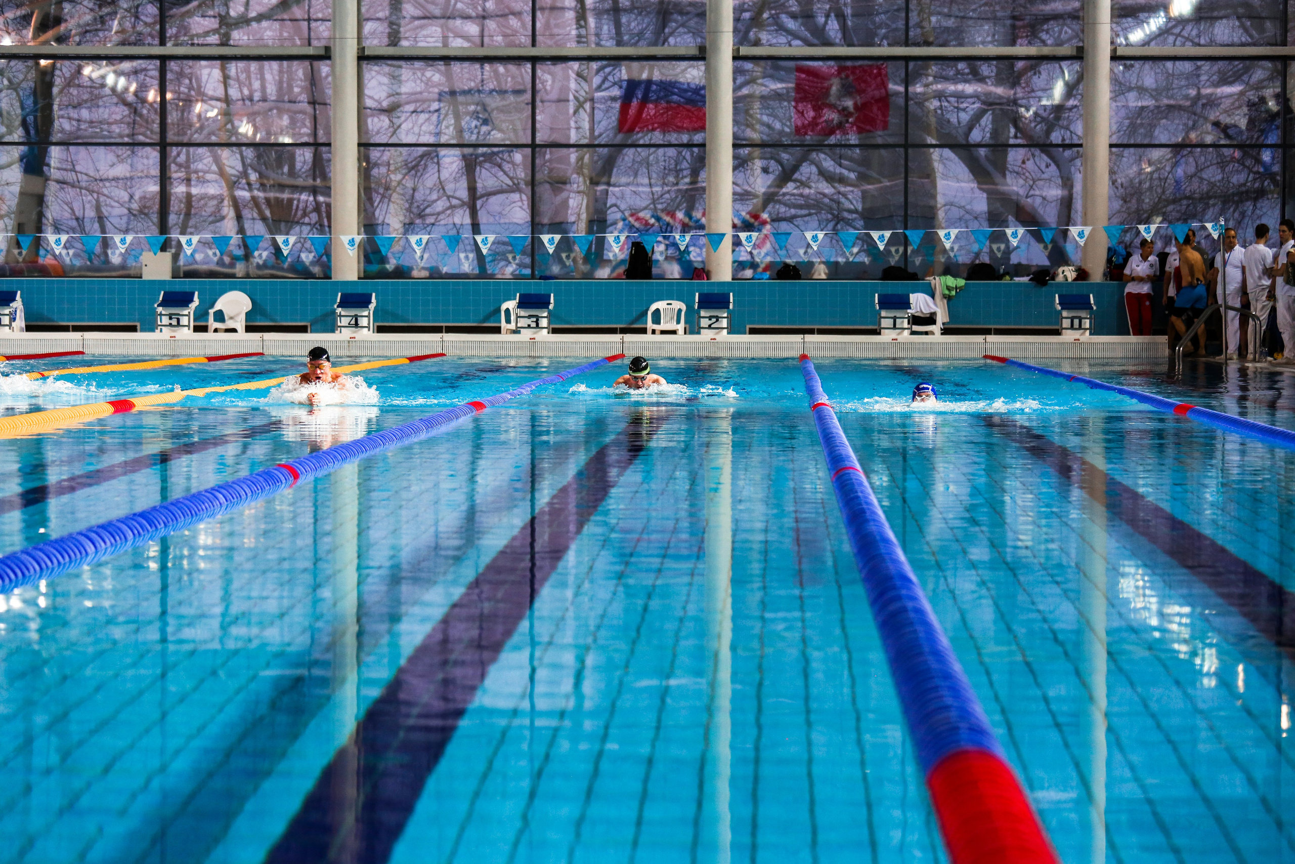 Соревнования по плаванию. Репортажный, семейный, свадебный, портретный фотограф