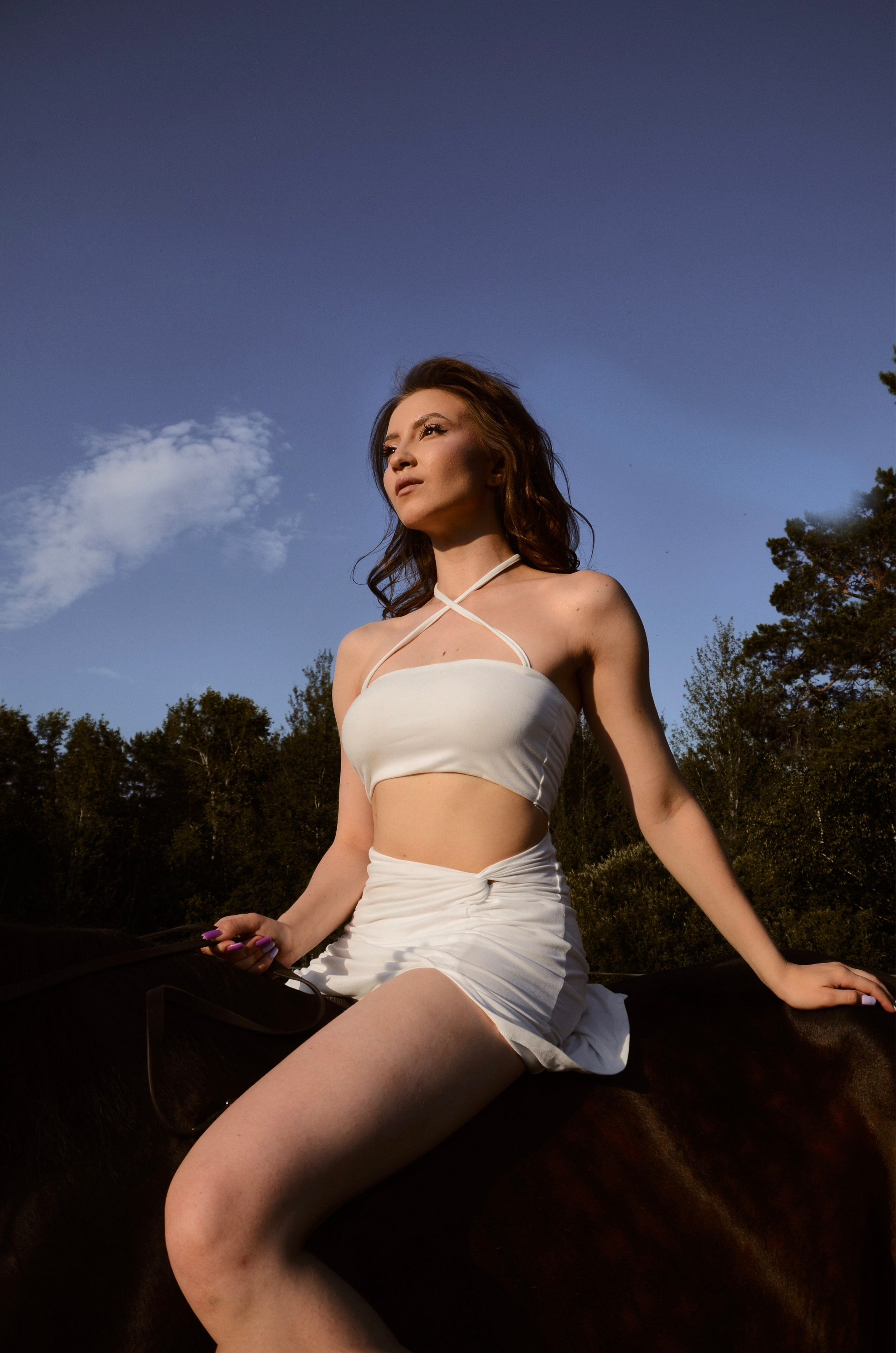 Horse. Фотограф Нижний Новгород