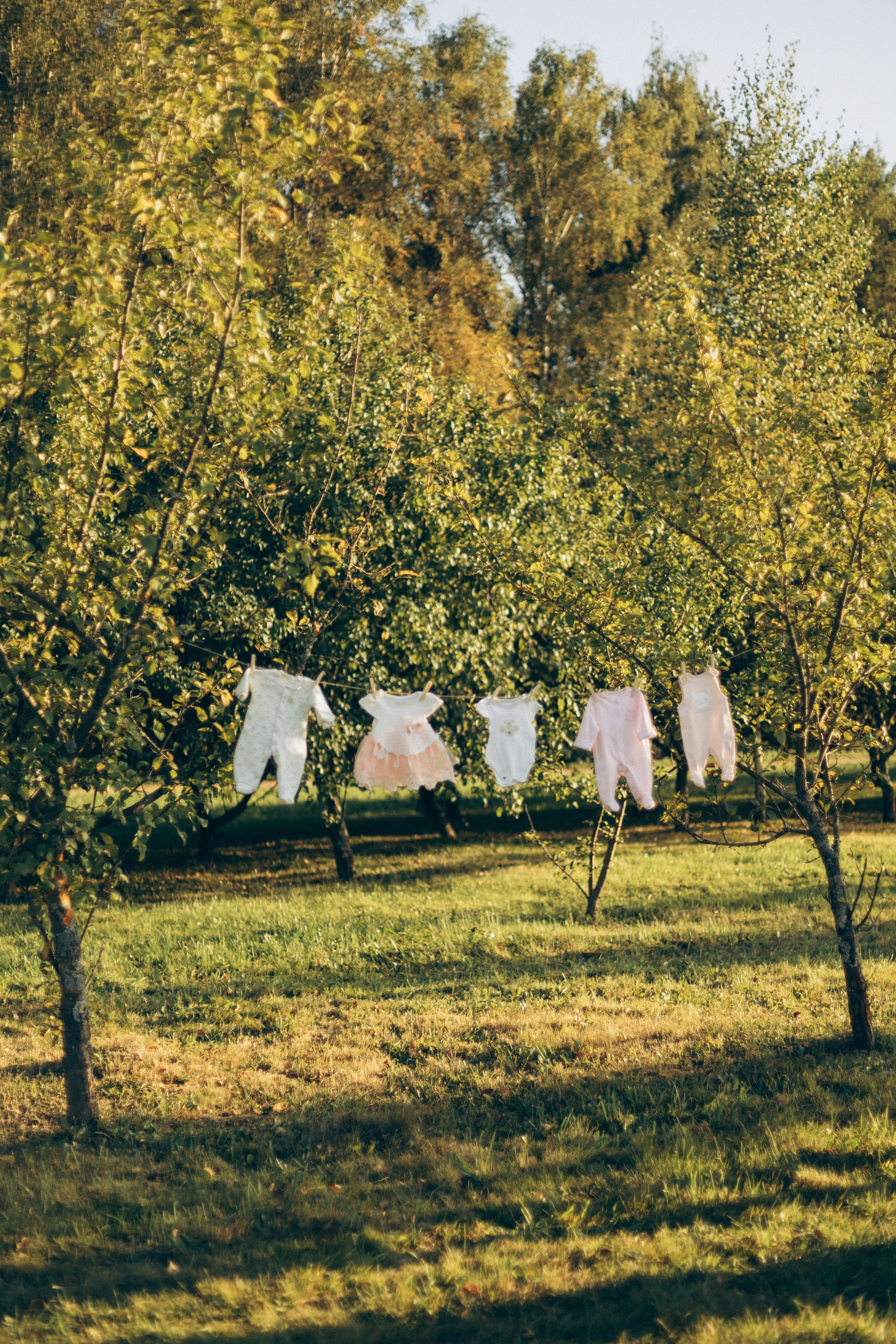 Мария и Владимир. Семейный фотограф в Москве Анастасия Шалда
