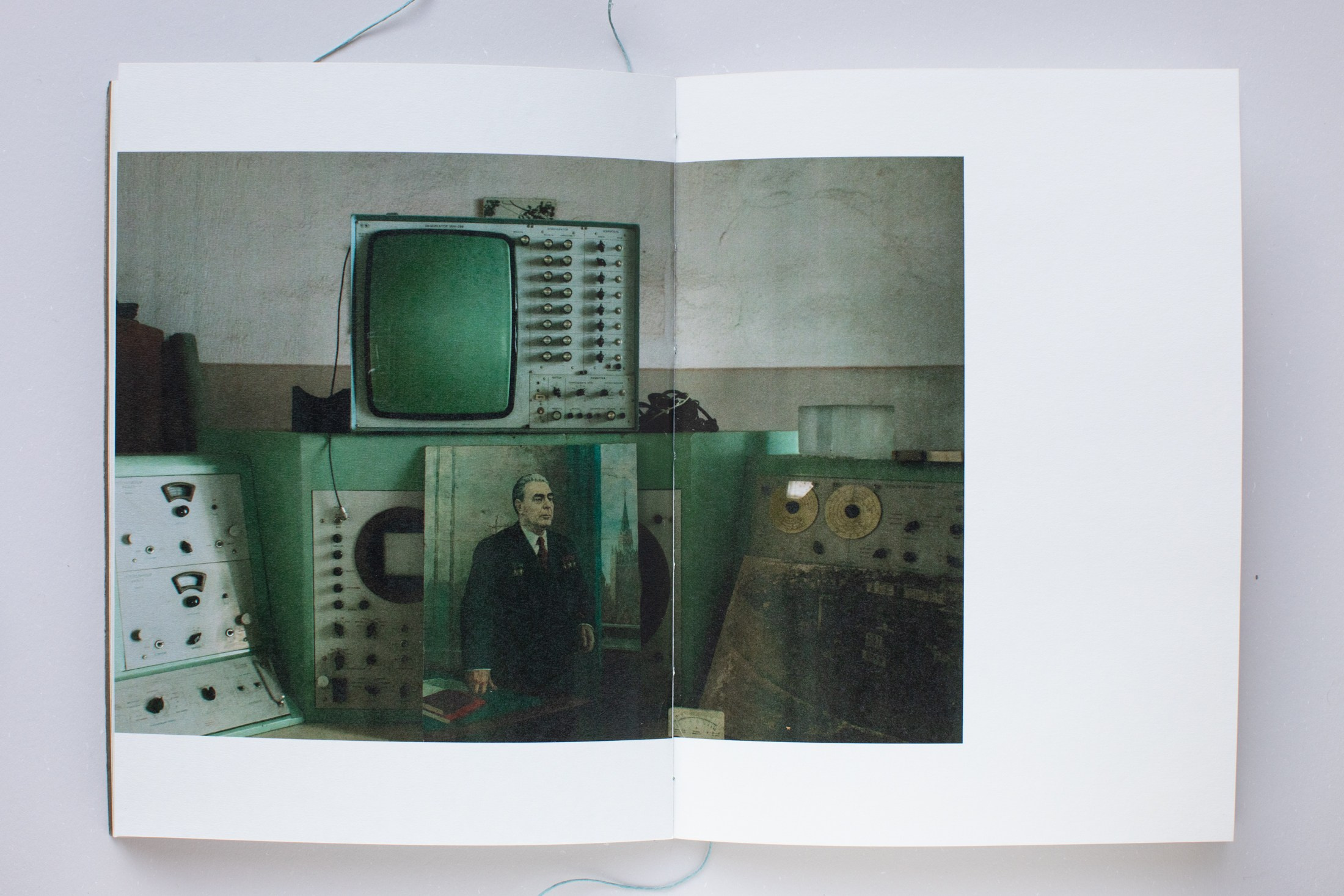 Зин «Про деревья, насекомых и людей». Natalya Madilyan