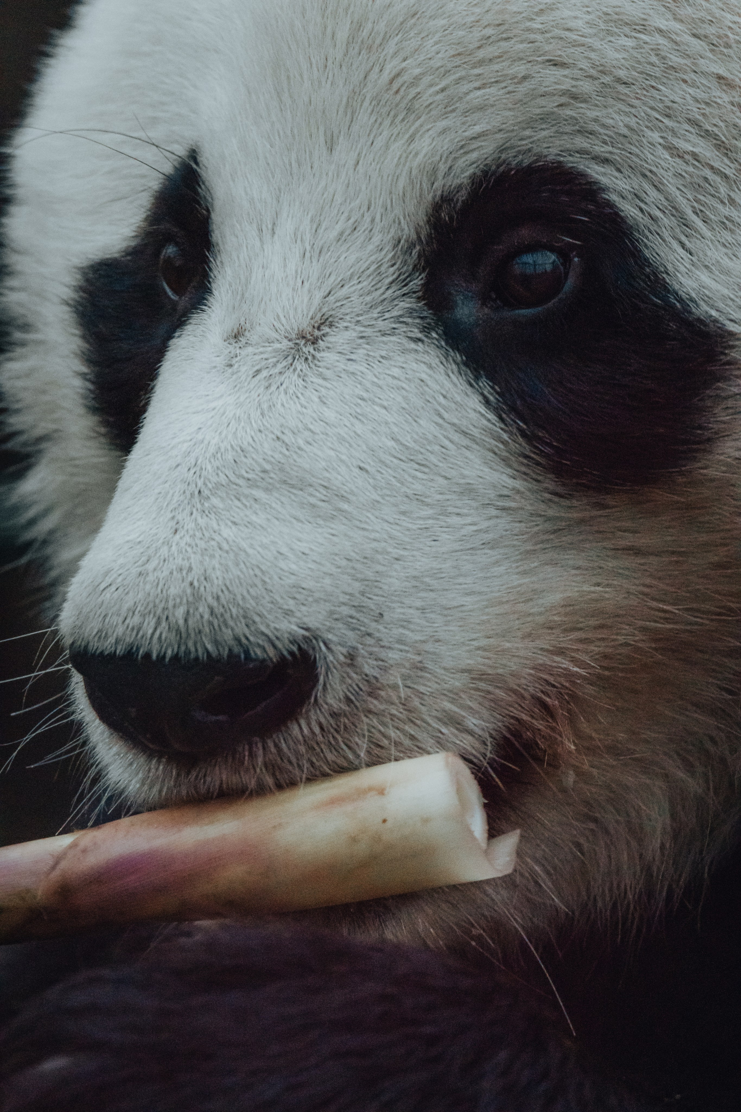 Фотограф Алексей Седойкин