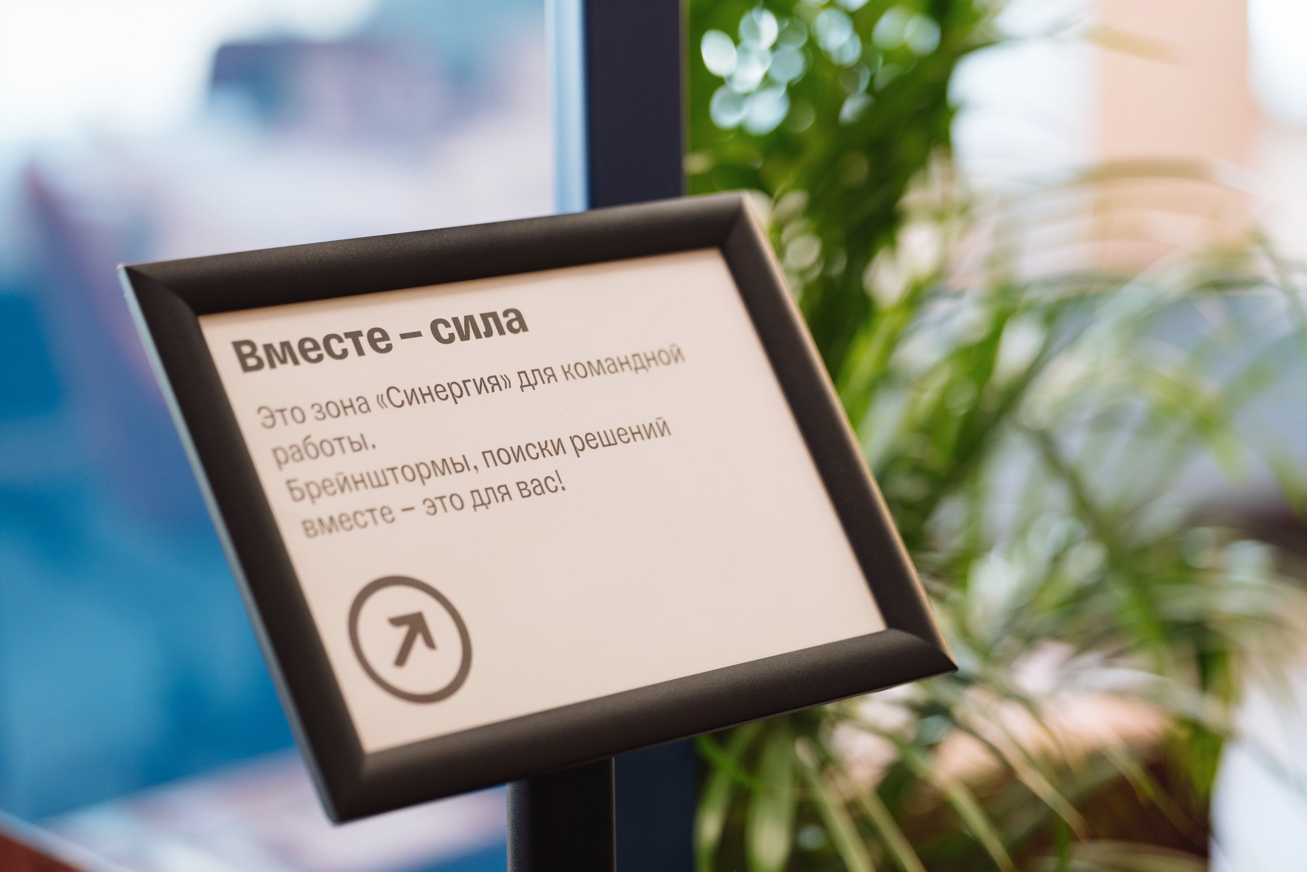 Открытые зоны Синергия. Рекламный фотограф Москва — рекламная и бренд-съёмка | Polyakov