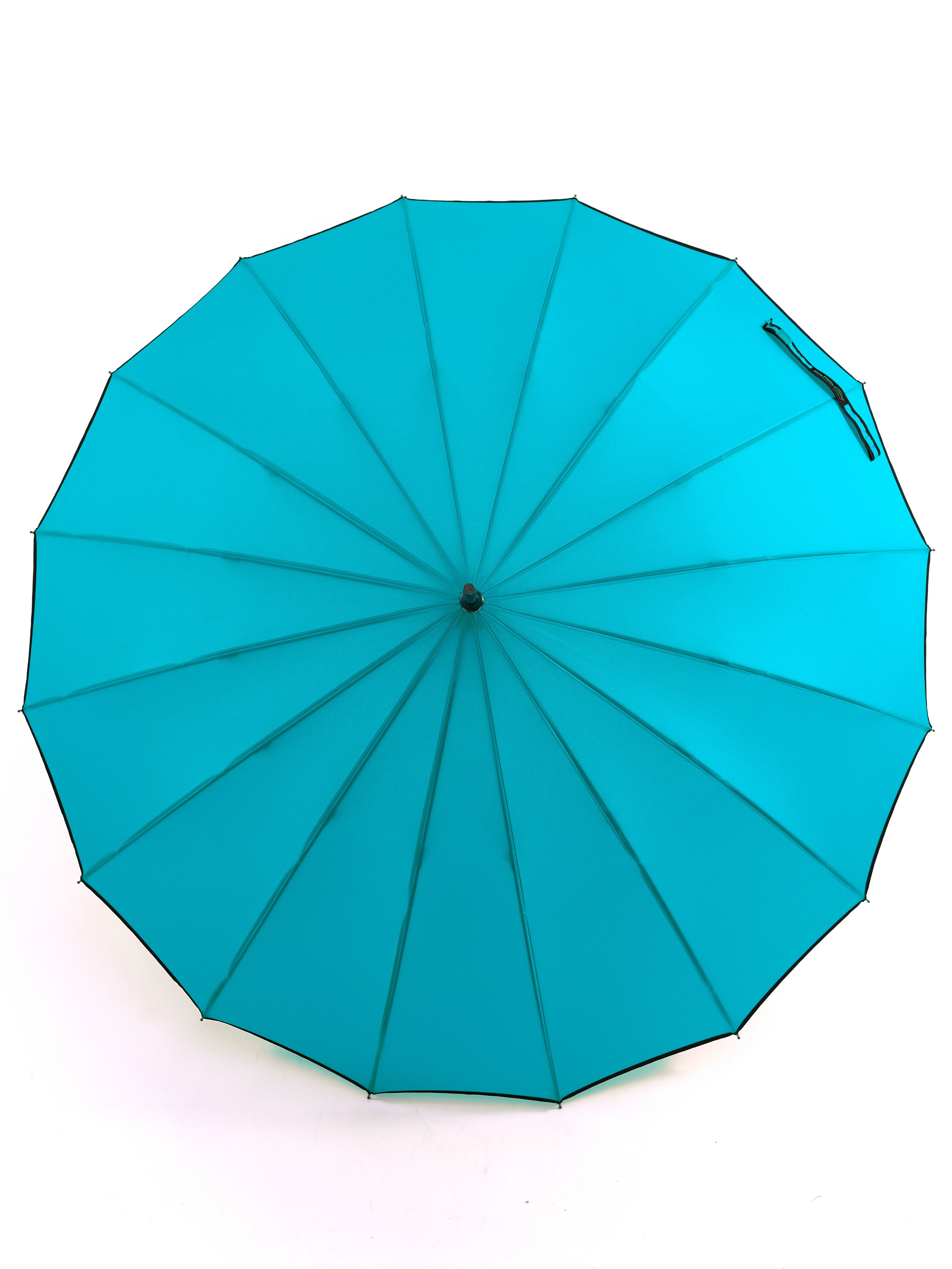 Dolphin. Zubkov Jan Hochzeitsfotograf Deutschland