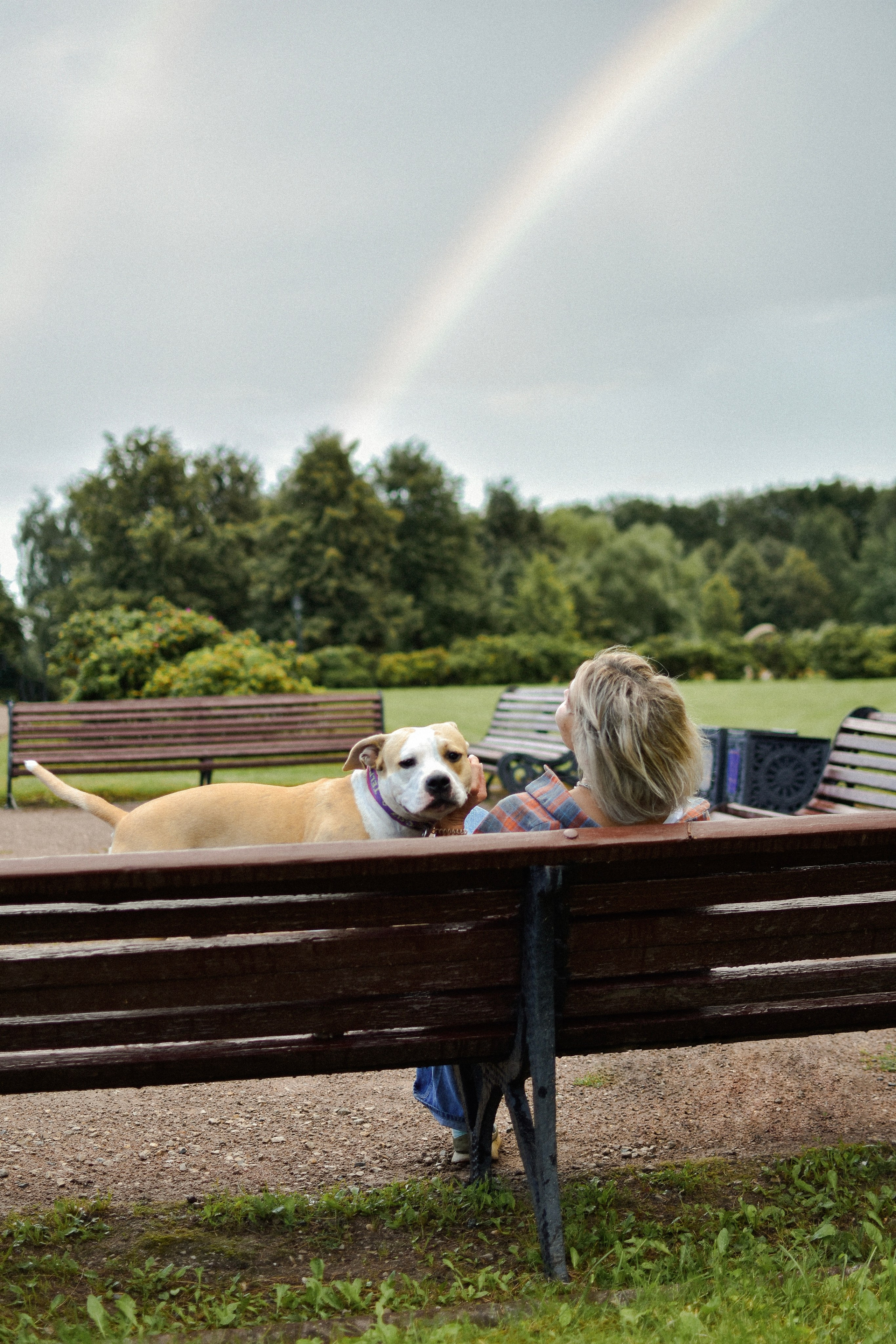 Стив, Стеша и Маша. Фотограф-анималист Ксения Шевцова|Москва