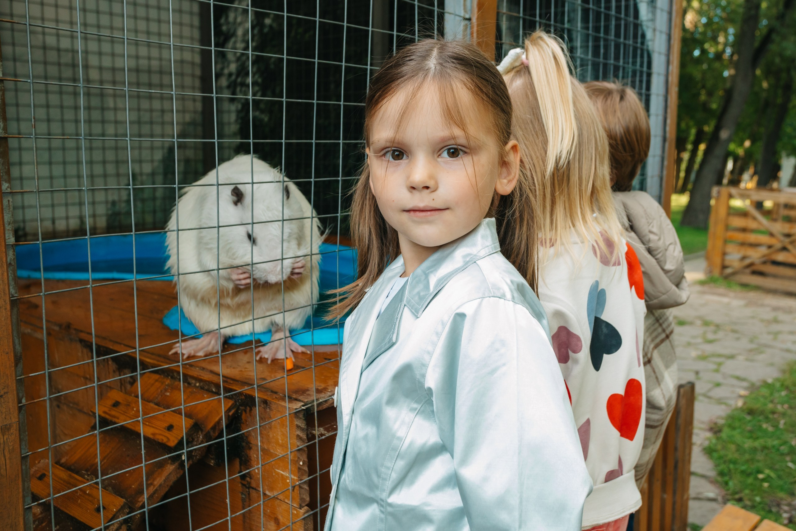 День рождения Марка. Андрей Партнов — фотогрраф, Москва