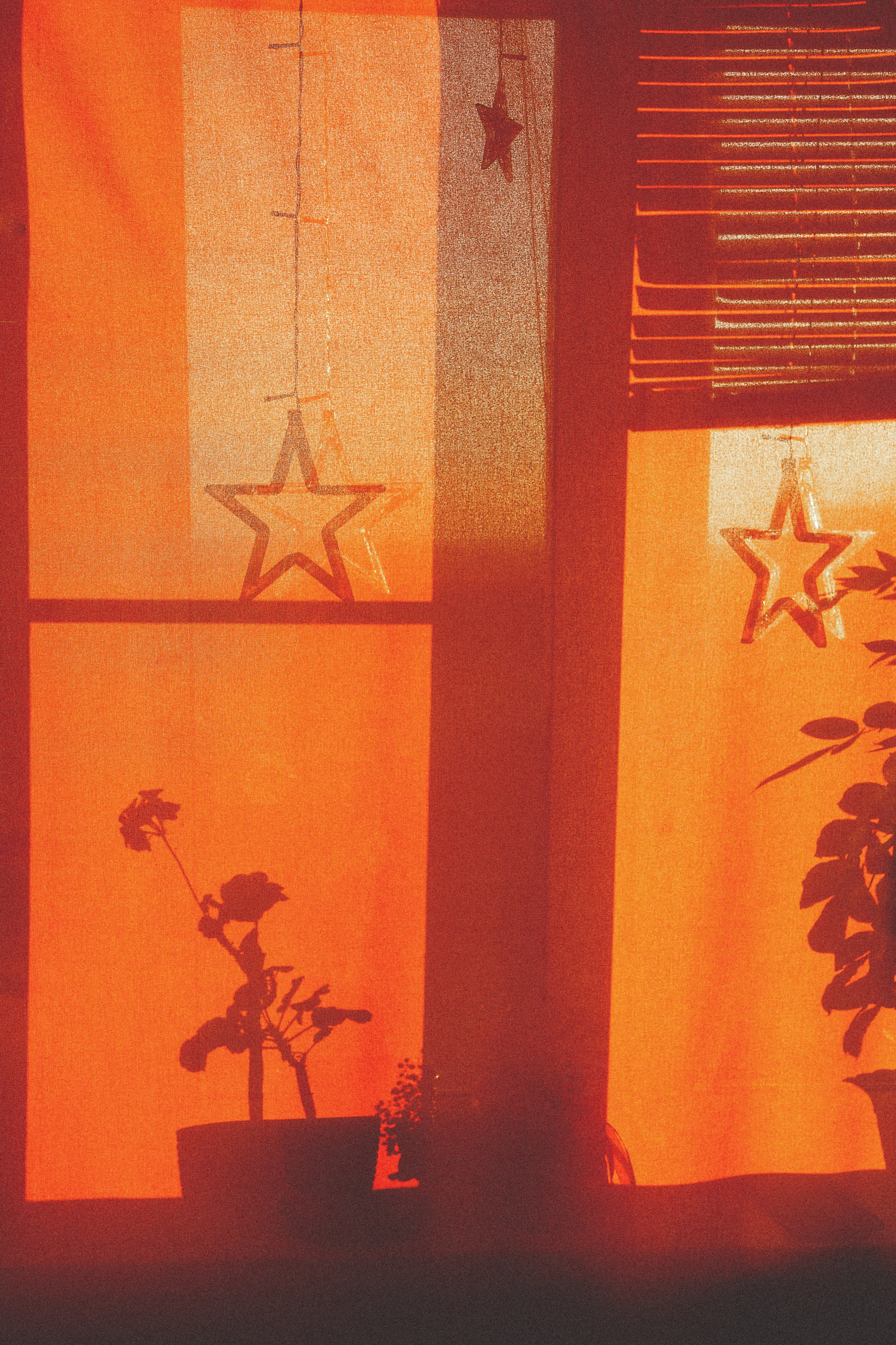 Проект «366»|2024|Фото каждый день. LENA GRACE photographer ||ЛЕНА ГРЭЙС фотограф