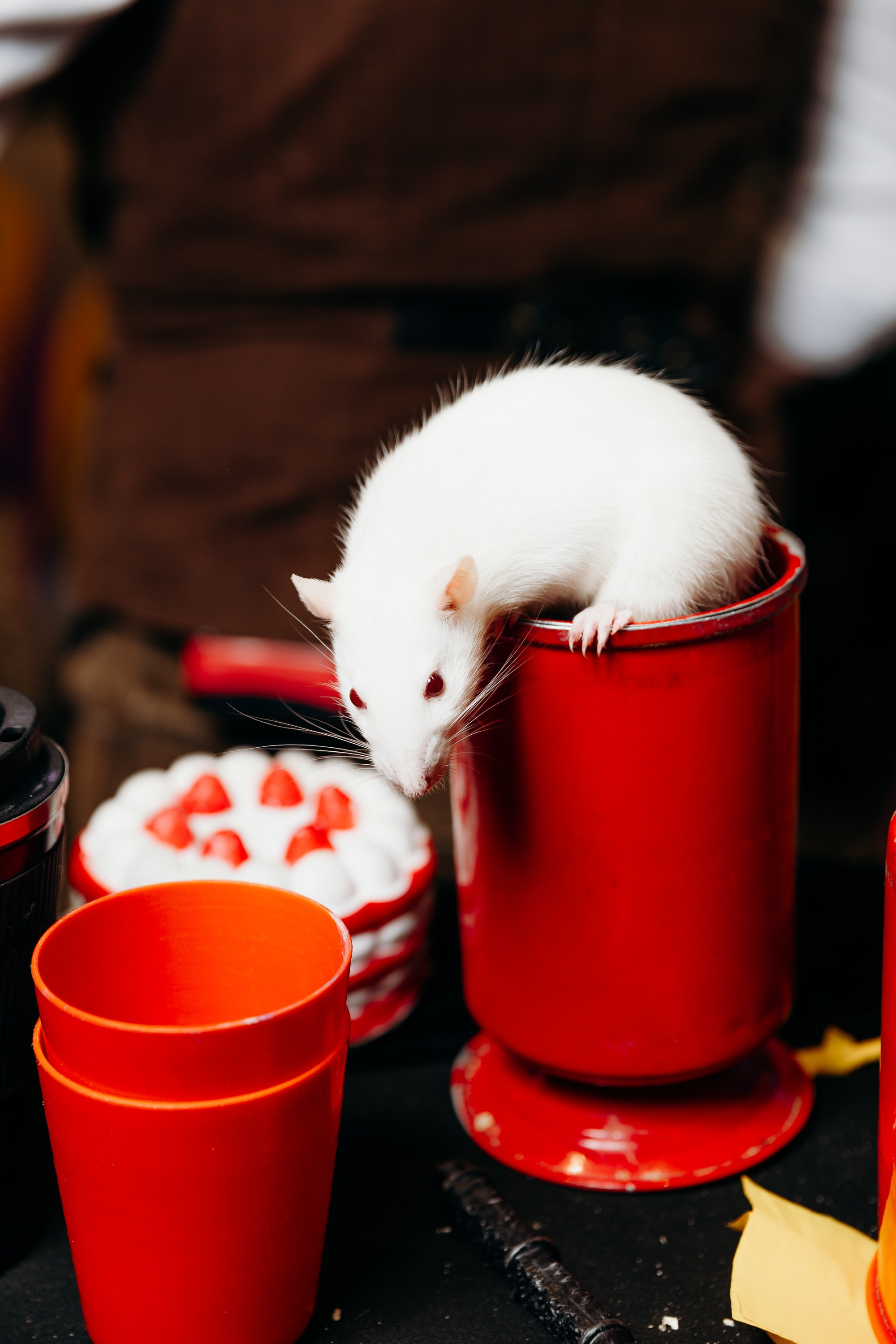 Миша 5 лет. Фотограф Вадим Казусь