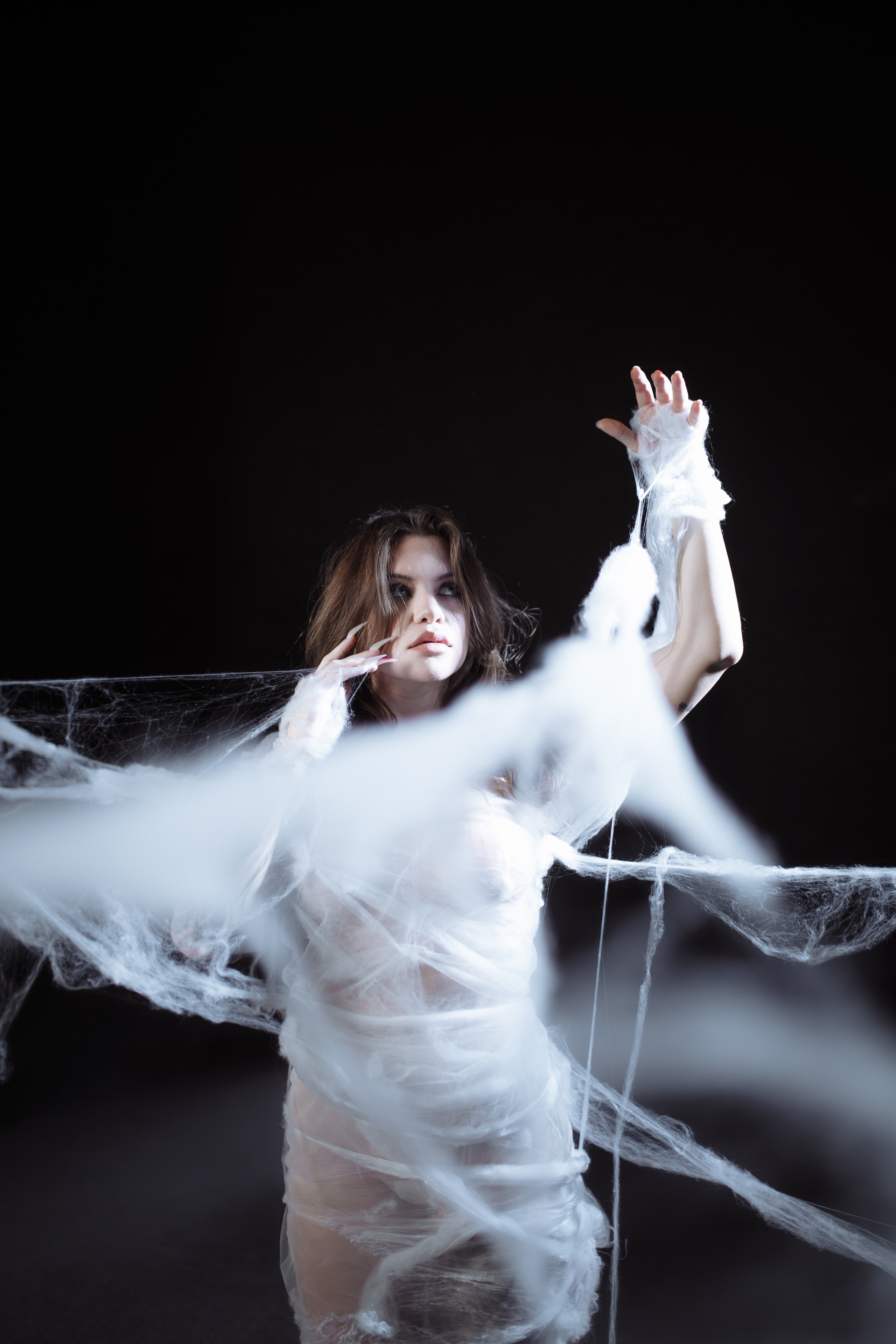 Diibae spider. Фотограф из Санкт-Петербурга Валерия Ленских