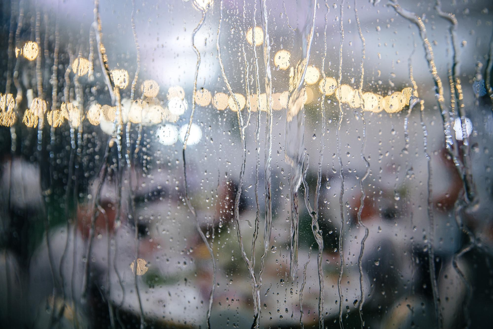 Фотосессия корпоратива в Краснодаре. Свадебный, репортажный фотограф Дмитрий Макарченко