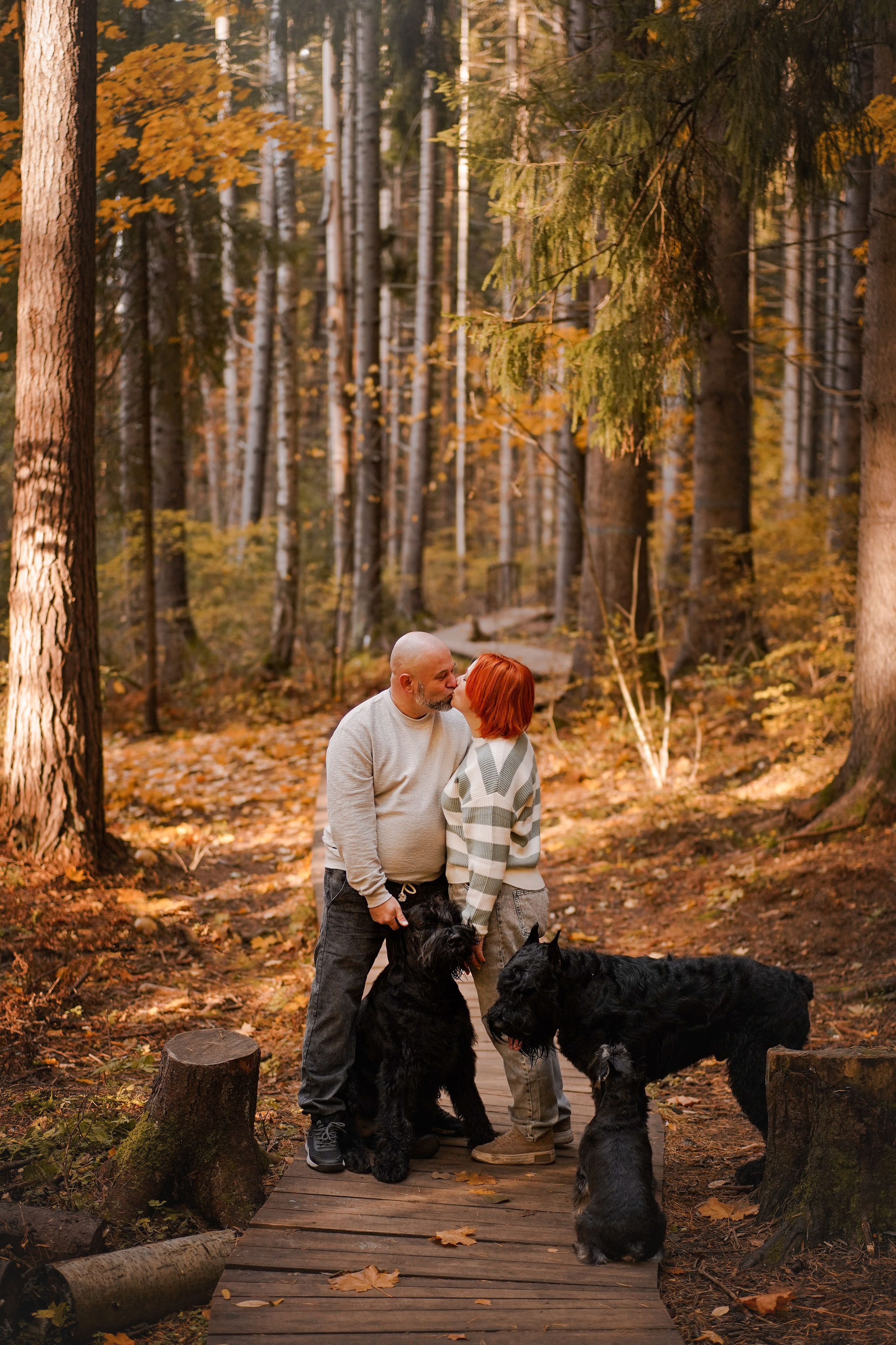 Оля Миша и шнауцеры. Фотограф-анималист в Санкт-Петербурге Яна Мартынова