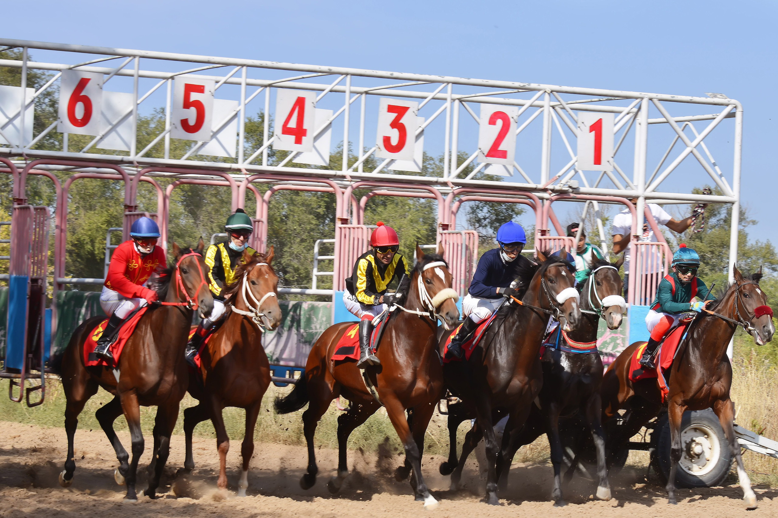 Скачки. Фотосъёмка. Фотограф Сергей Авдеев-семейный и детский фотограф в Алматы