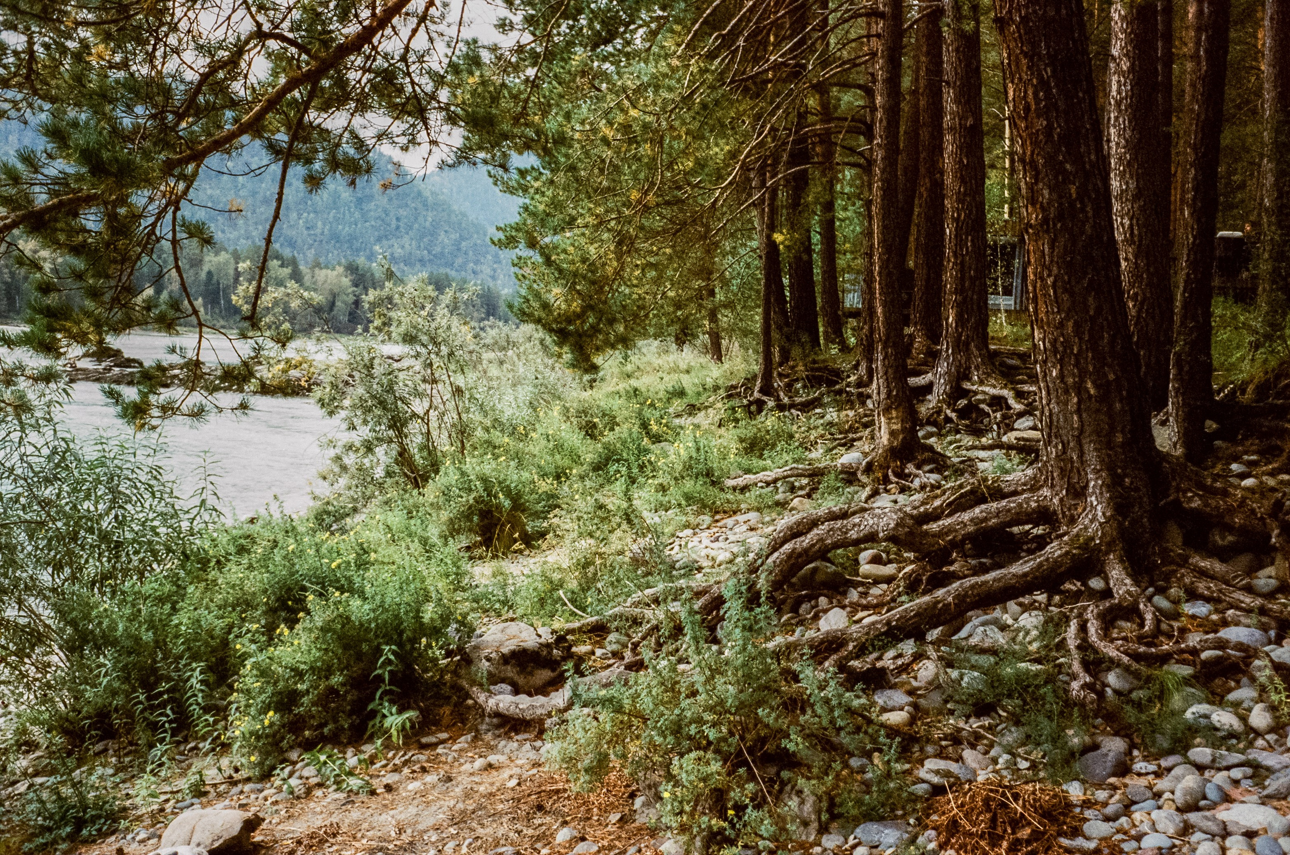 Горный Алтай на пленку