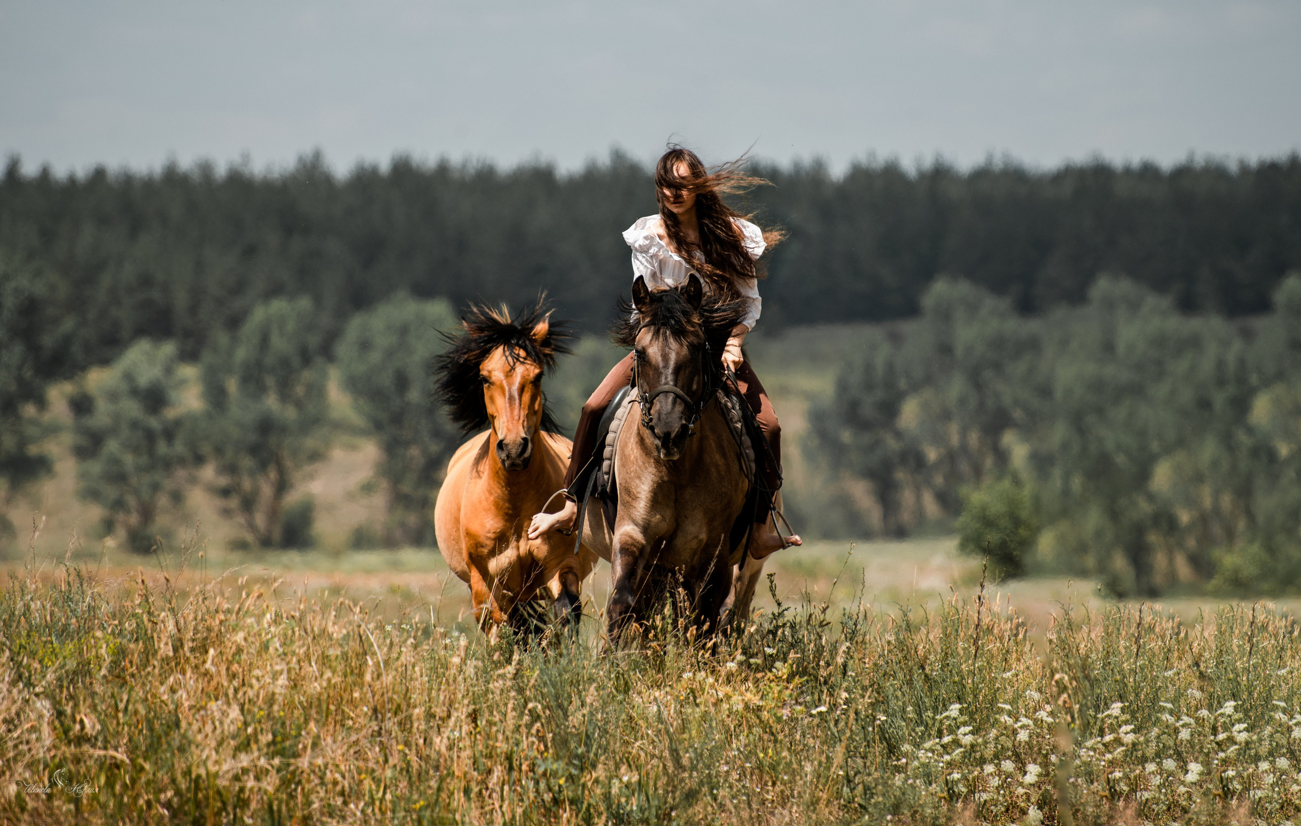 Купала в Родославном. Конный фотограф в Саратове Юлия Иванова