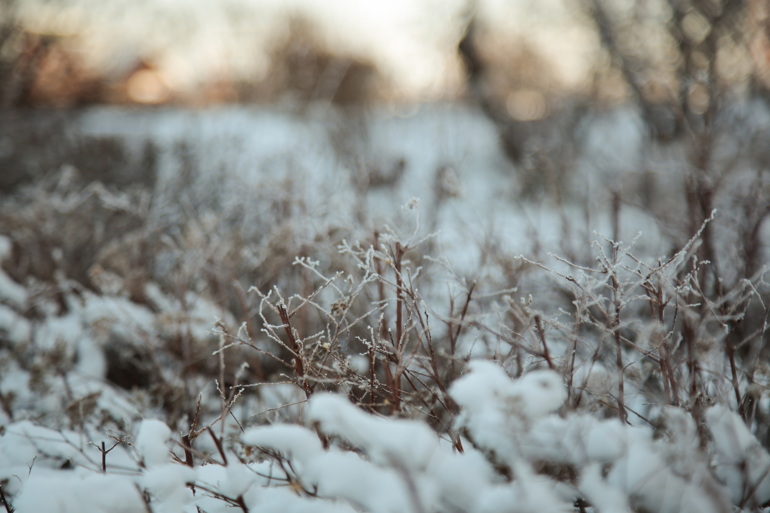 Крещение Виктории. Пухова Татьяна фотограф в Перми