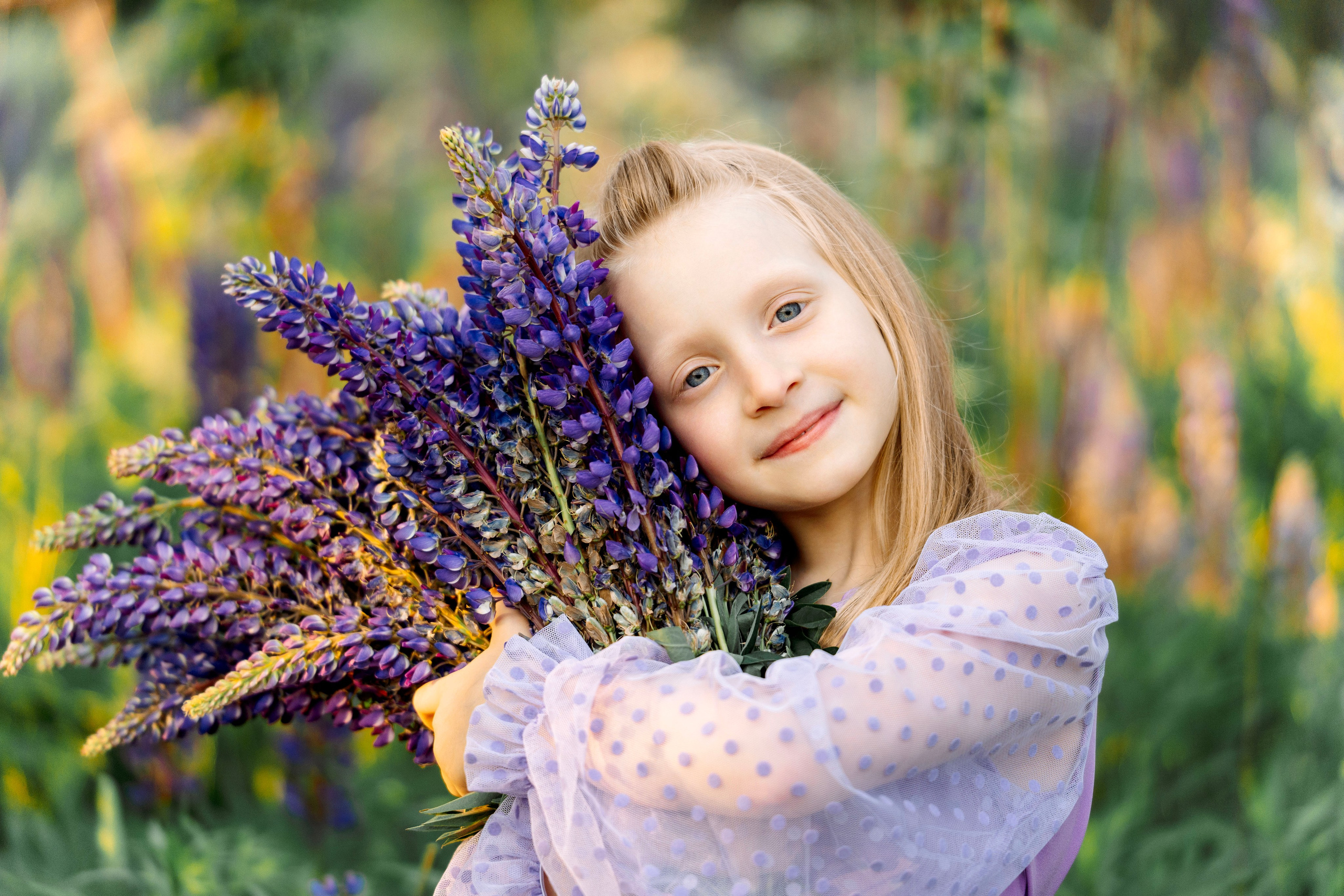 Люпины. Фотограф Юлия Попова