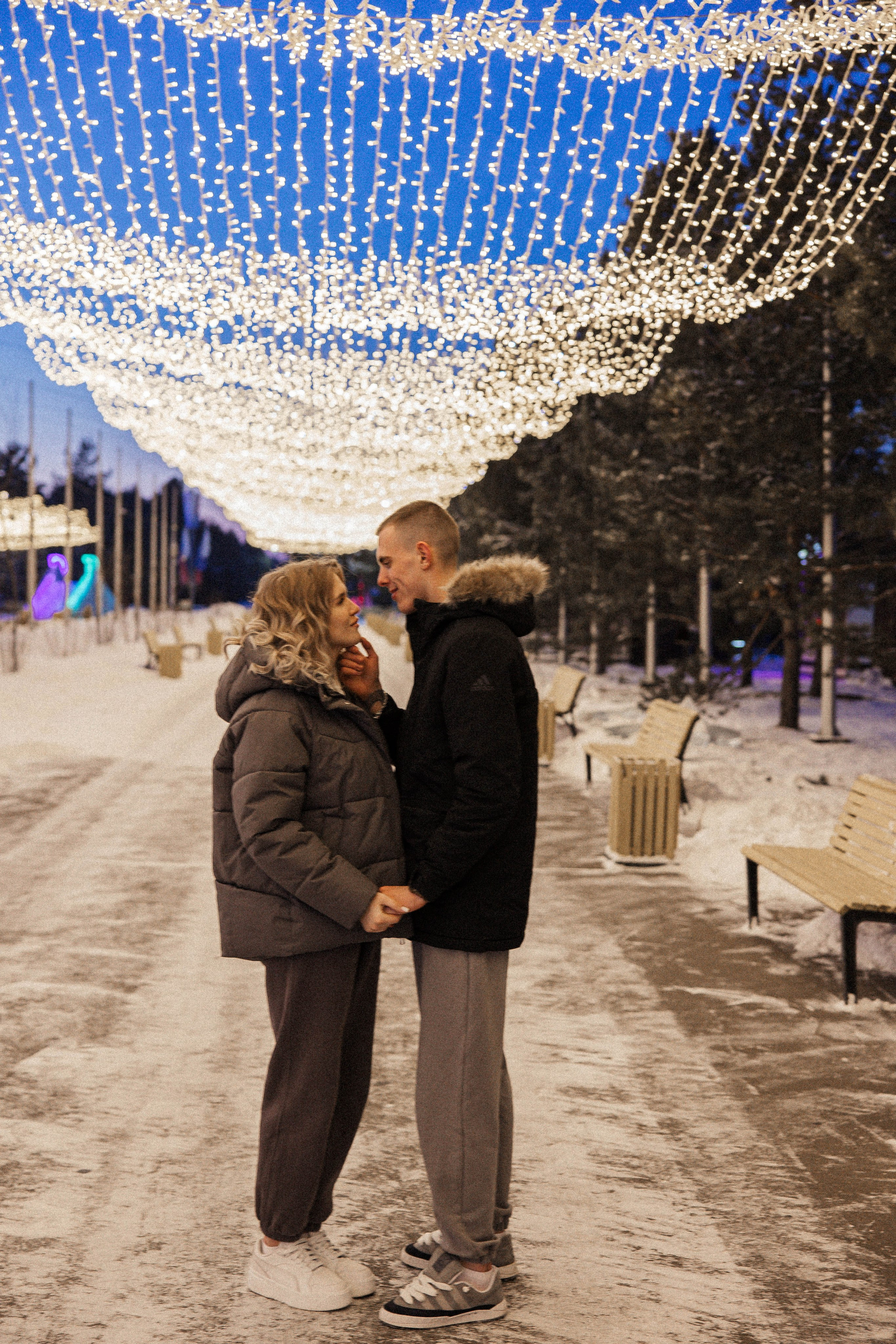 Предложение. Главная