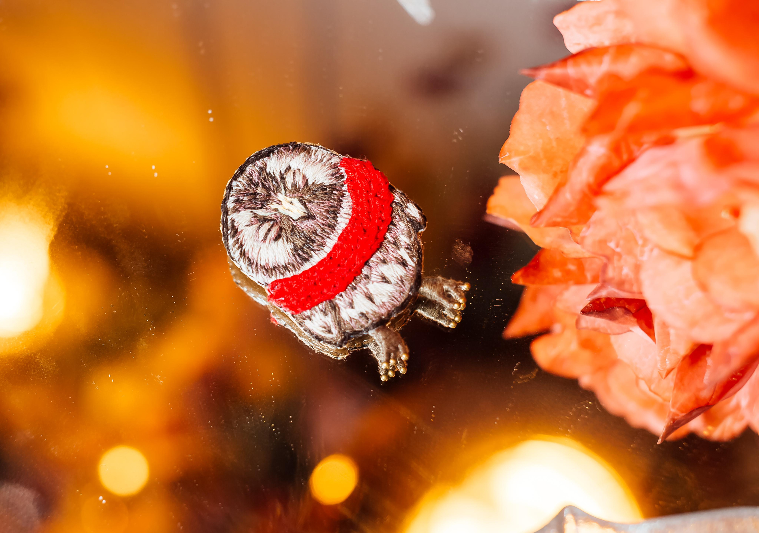 Броши ручной работы. Свадебный и семейный фотограф/видеограф в Краснодаре Наталья Осинская