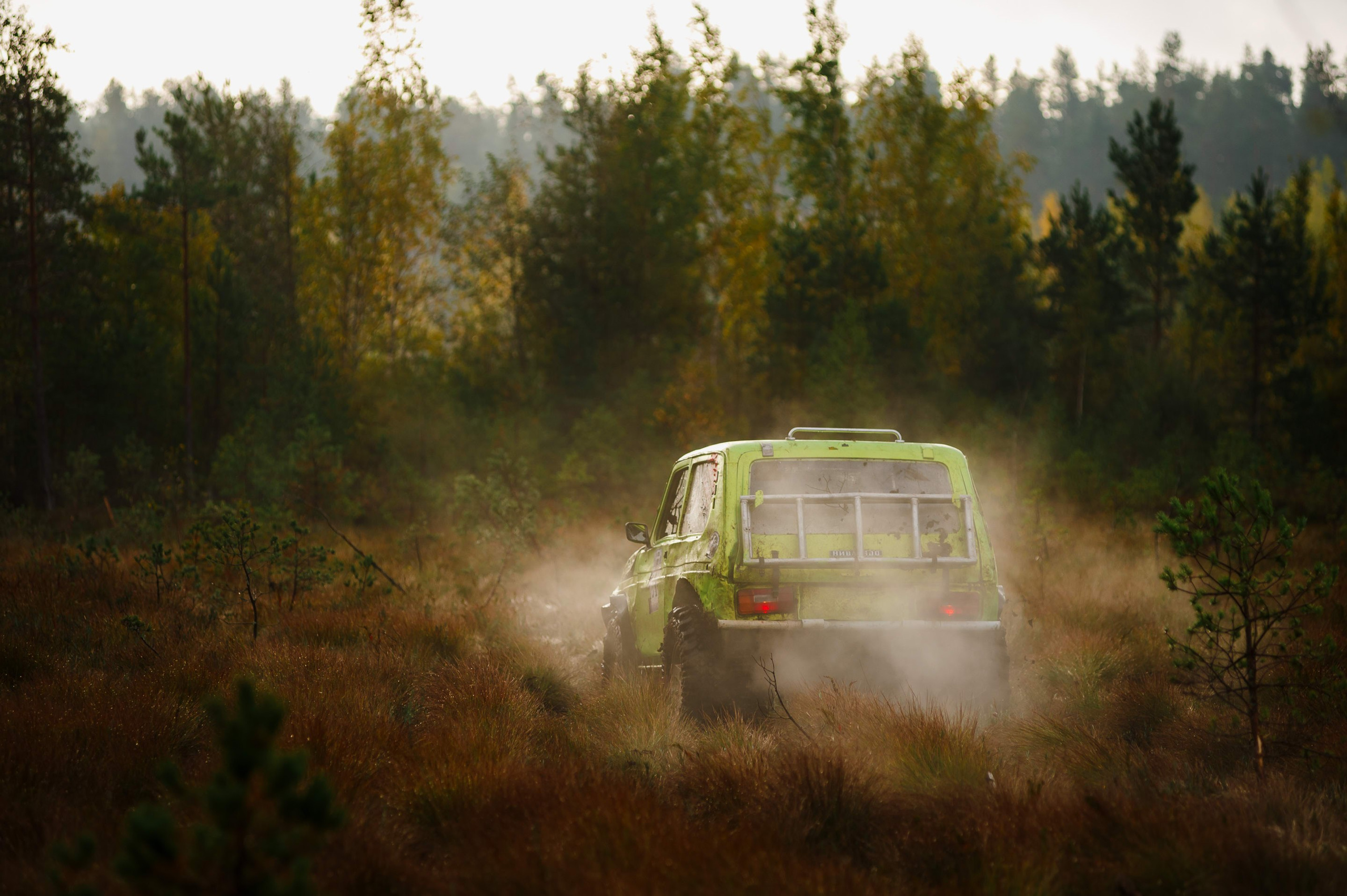 Кубок СПб по трофи-рейдам 04-06.10.2024 — день 2. Фотограф Алексей Алексеев